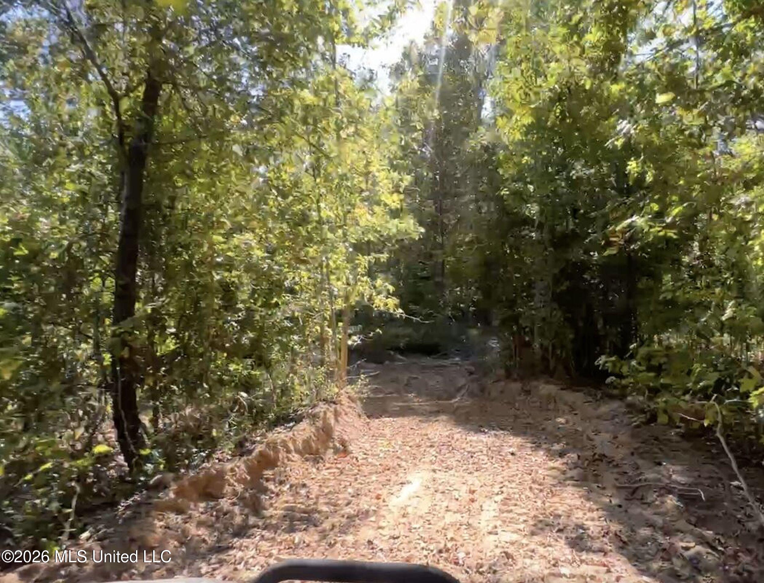 173 Cascilla Road Property Photo 28