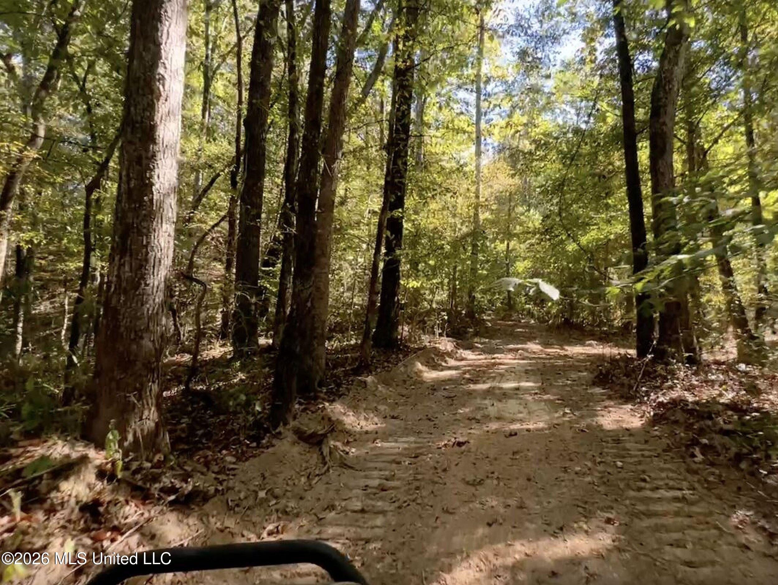 173 Cascilla Road Property Photo 29