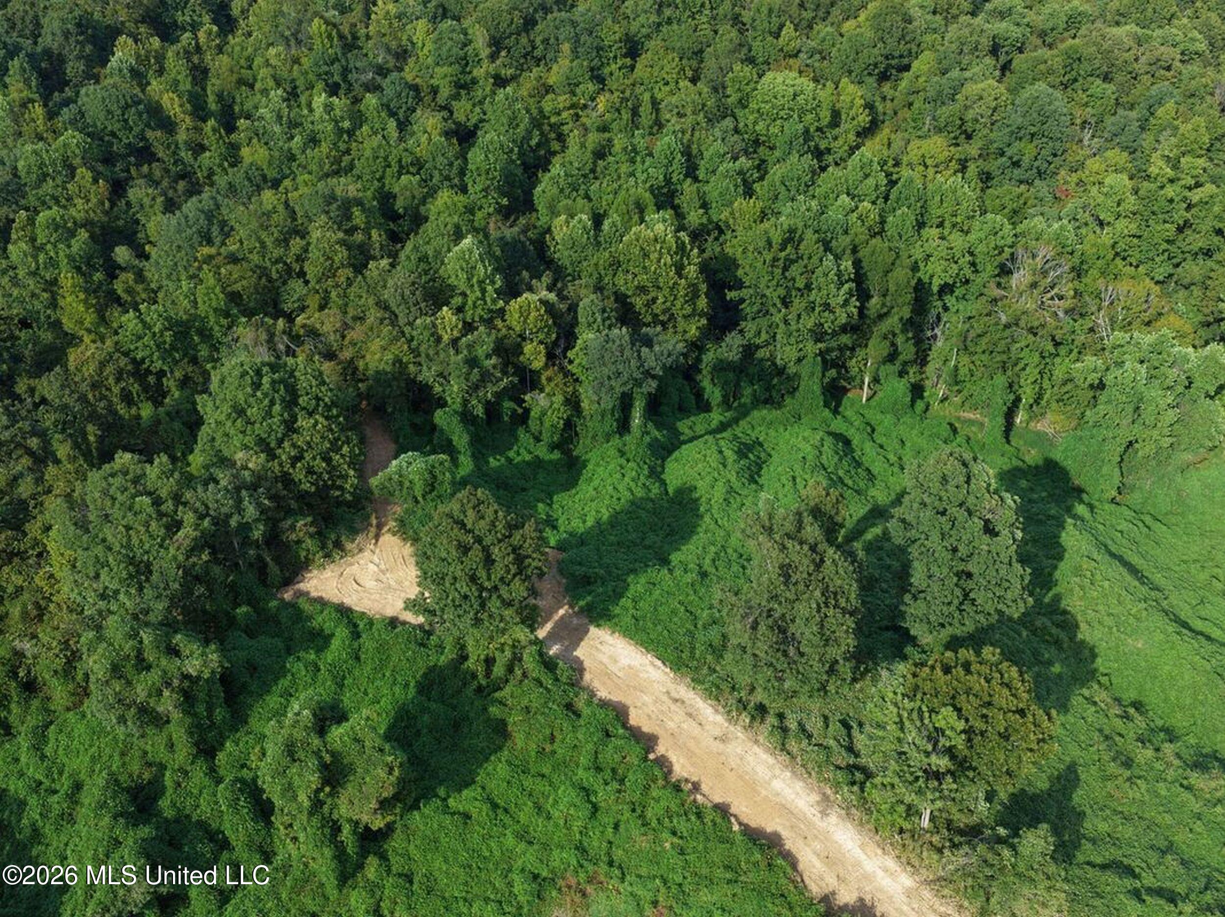 173 Cascilla Road Property Photo 38