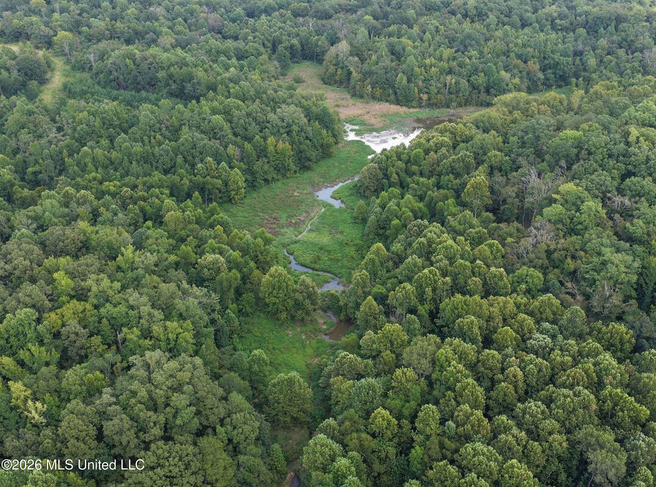 173 Cascilla Road Property Photo 45