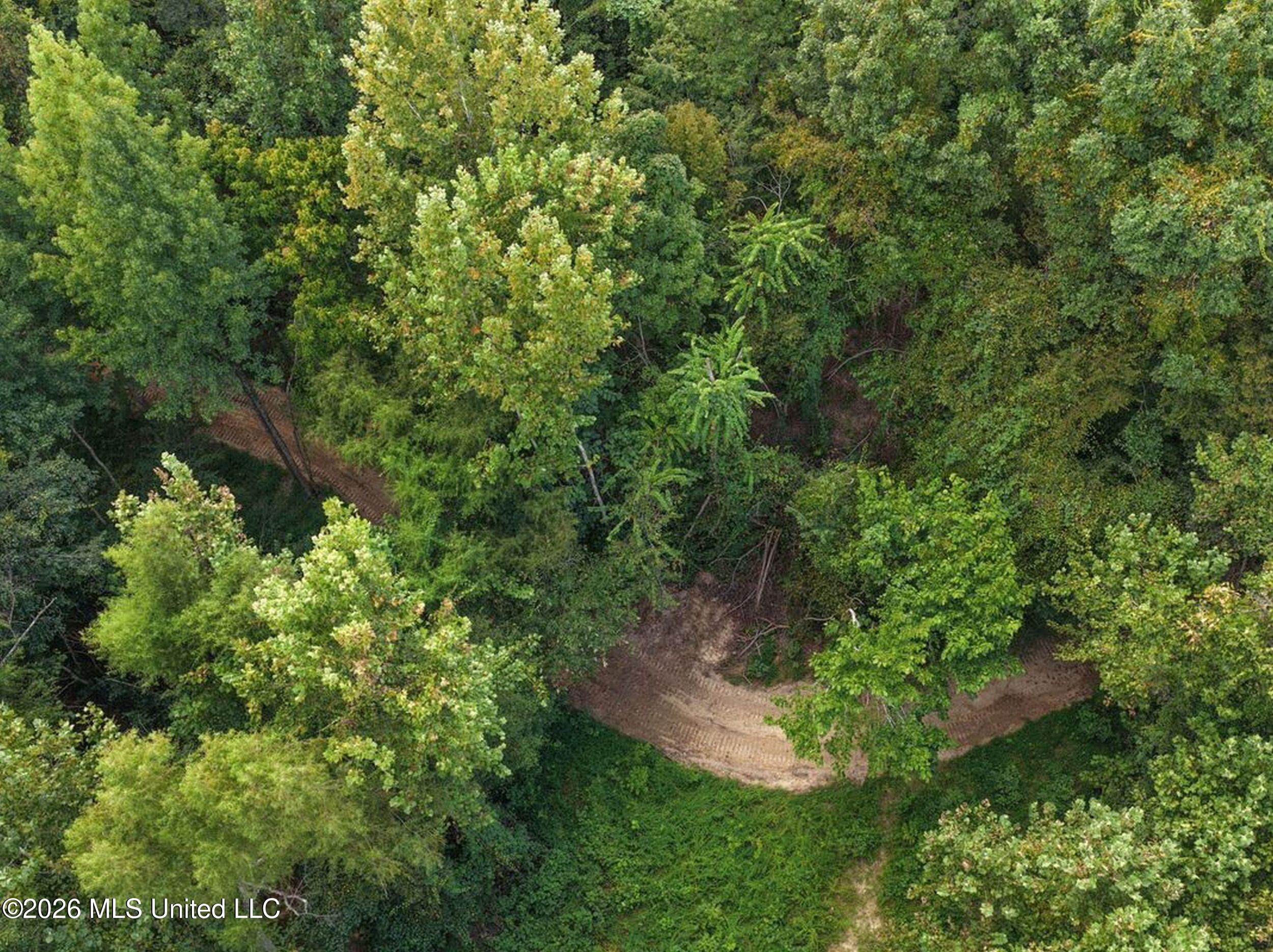 173 Cascilla Road Property Photo 46
