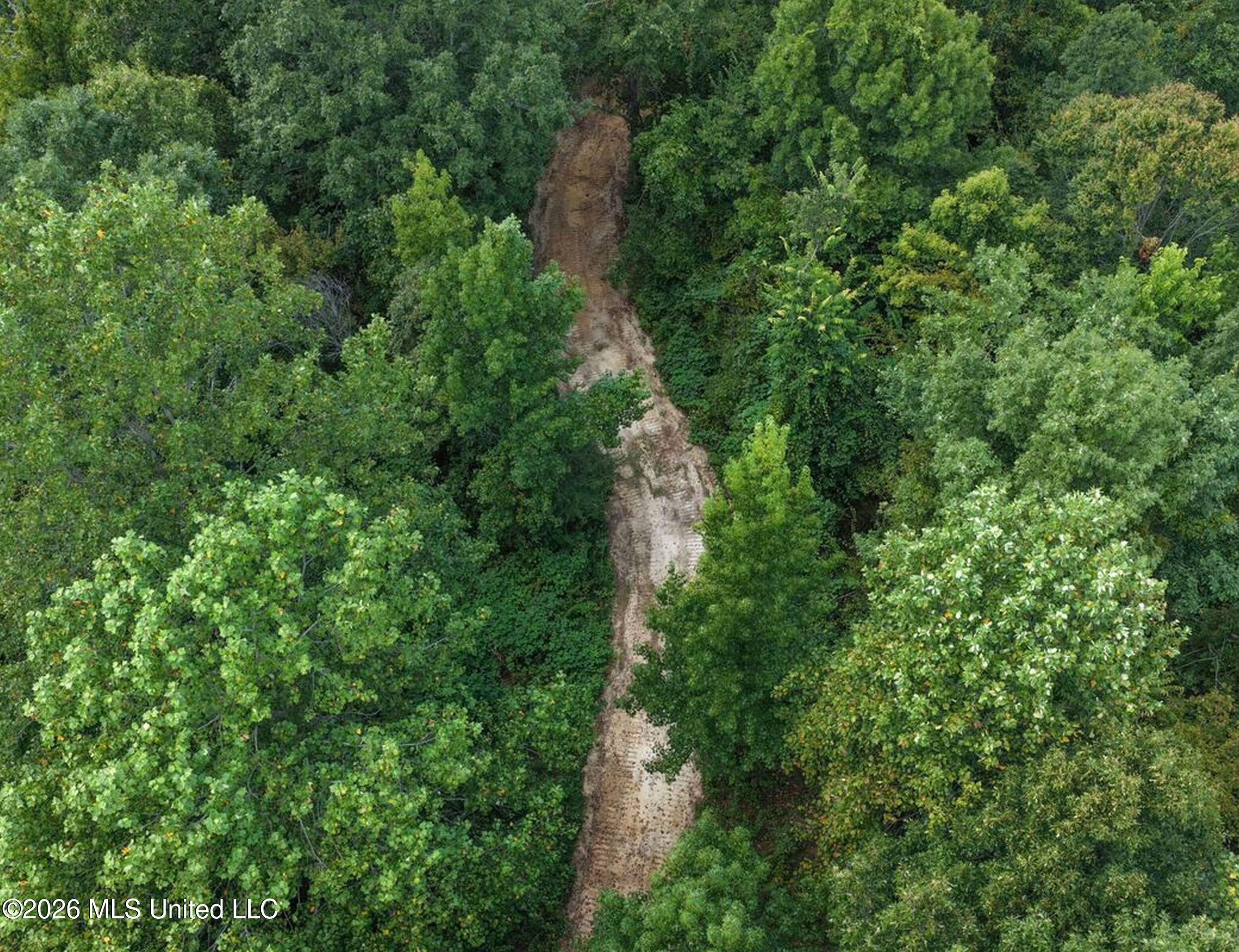 173 Cascilla Road Property Photo 48