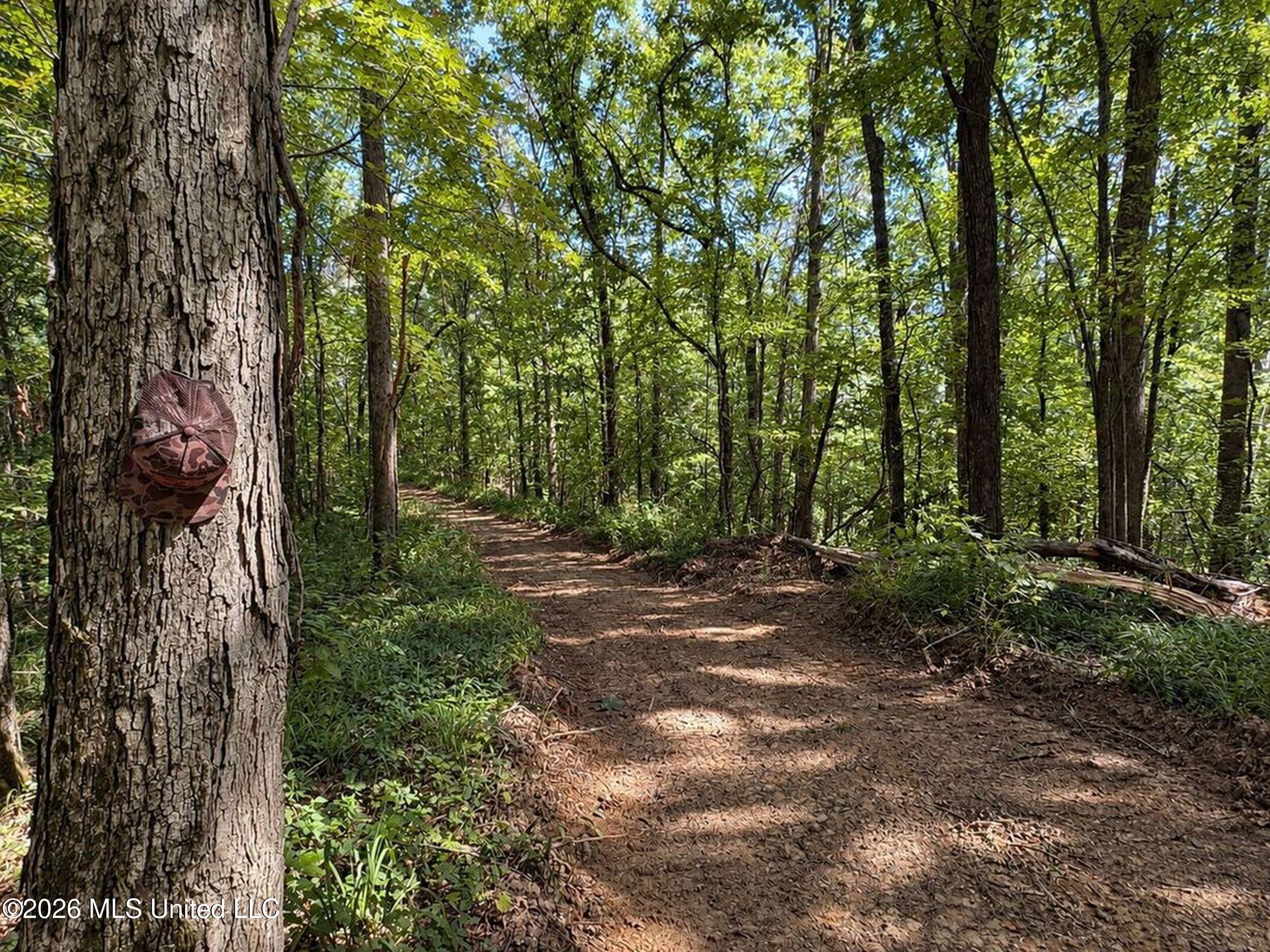 173 Cascilla Road Property Photo 49