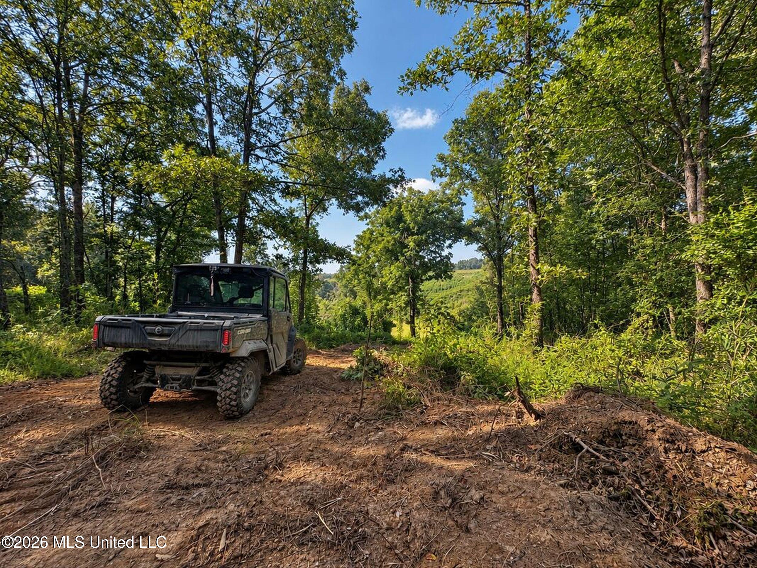 173 Cascilla Road Property Photo 53