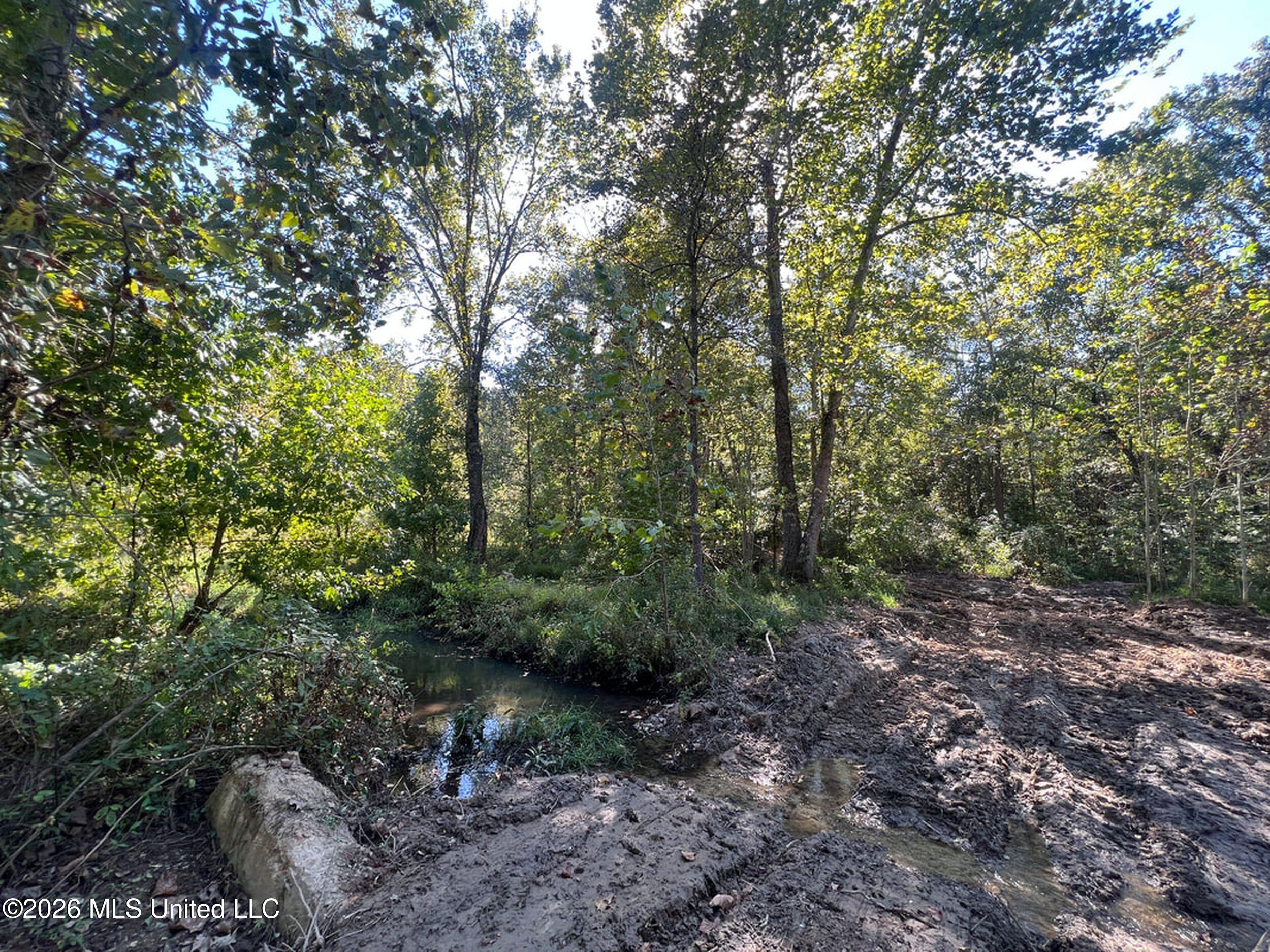 173 Cascilla Road Property Photo 54