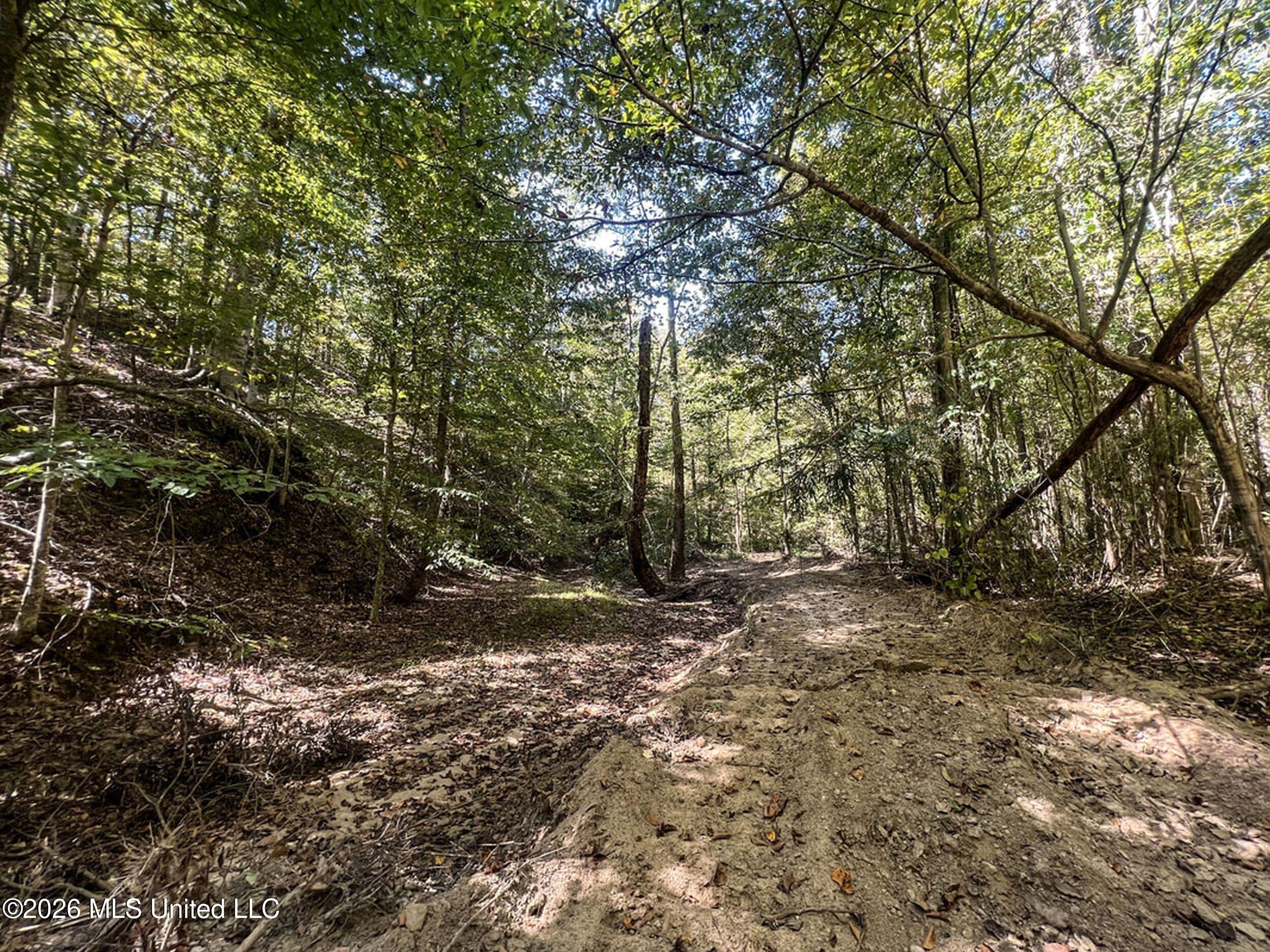173 Cascilla Road Property Photo 57