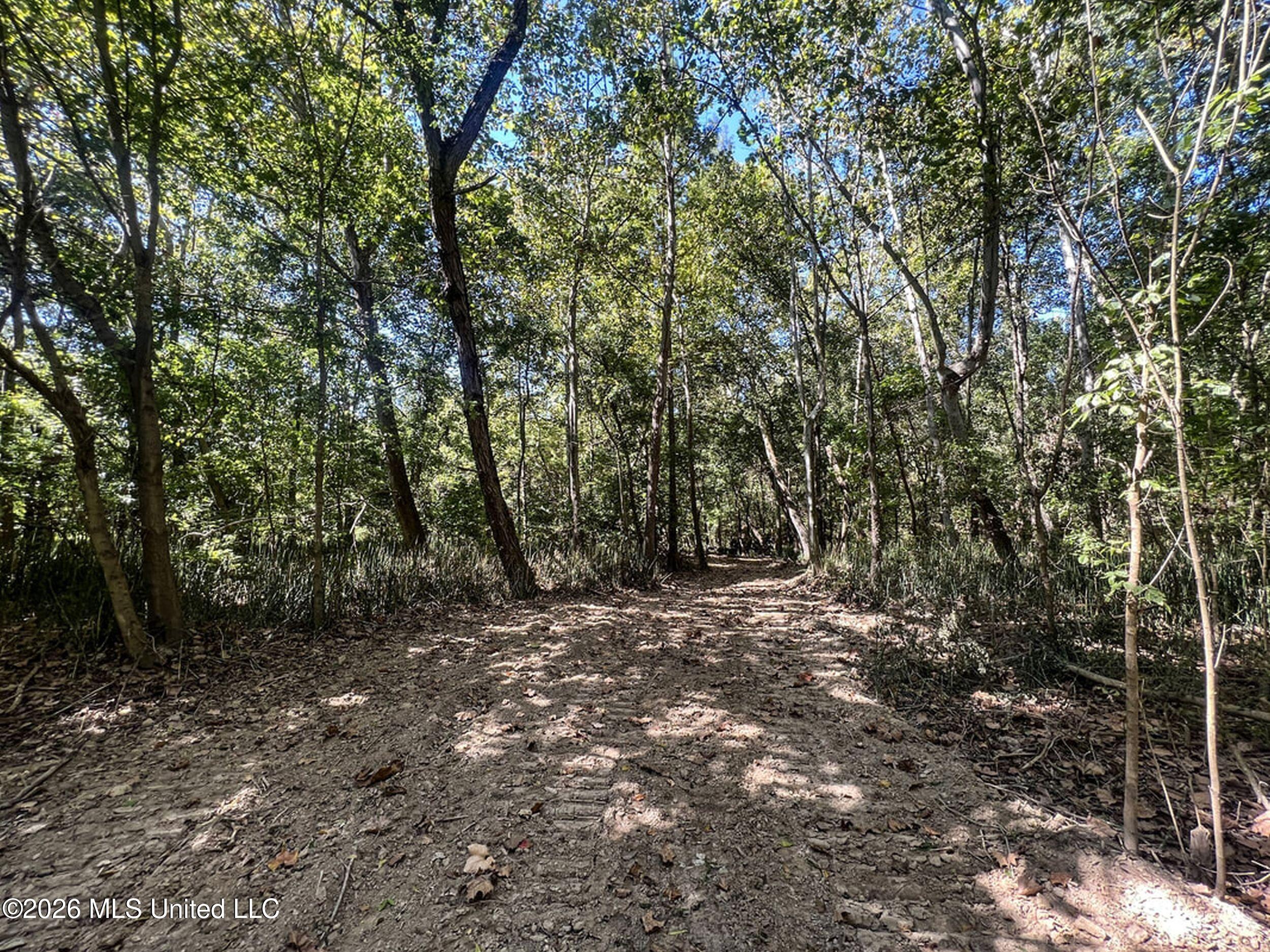 173 Cascilla Road Property Photo 58