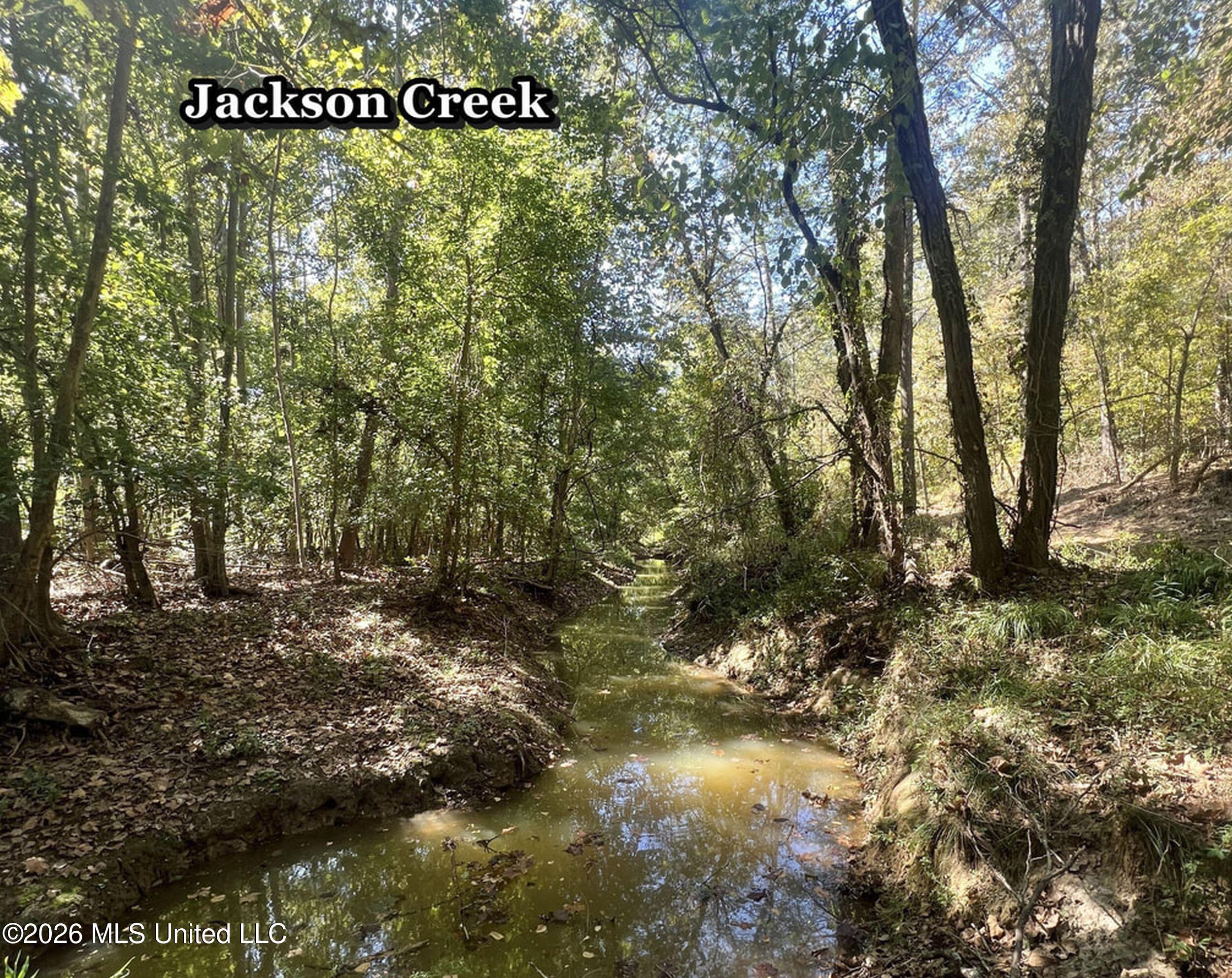 173 Cascilla Road Property Photo 59