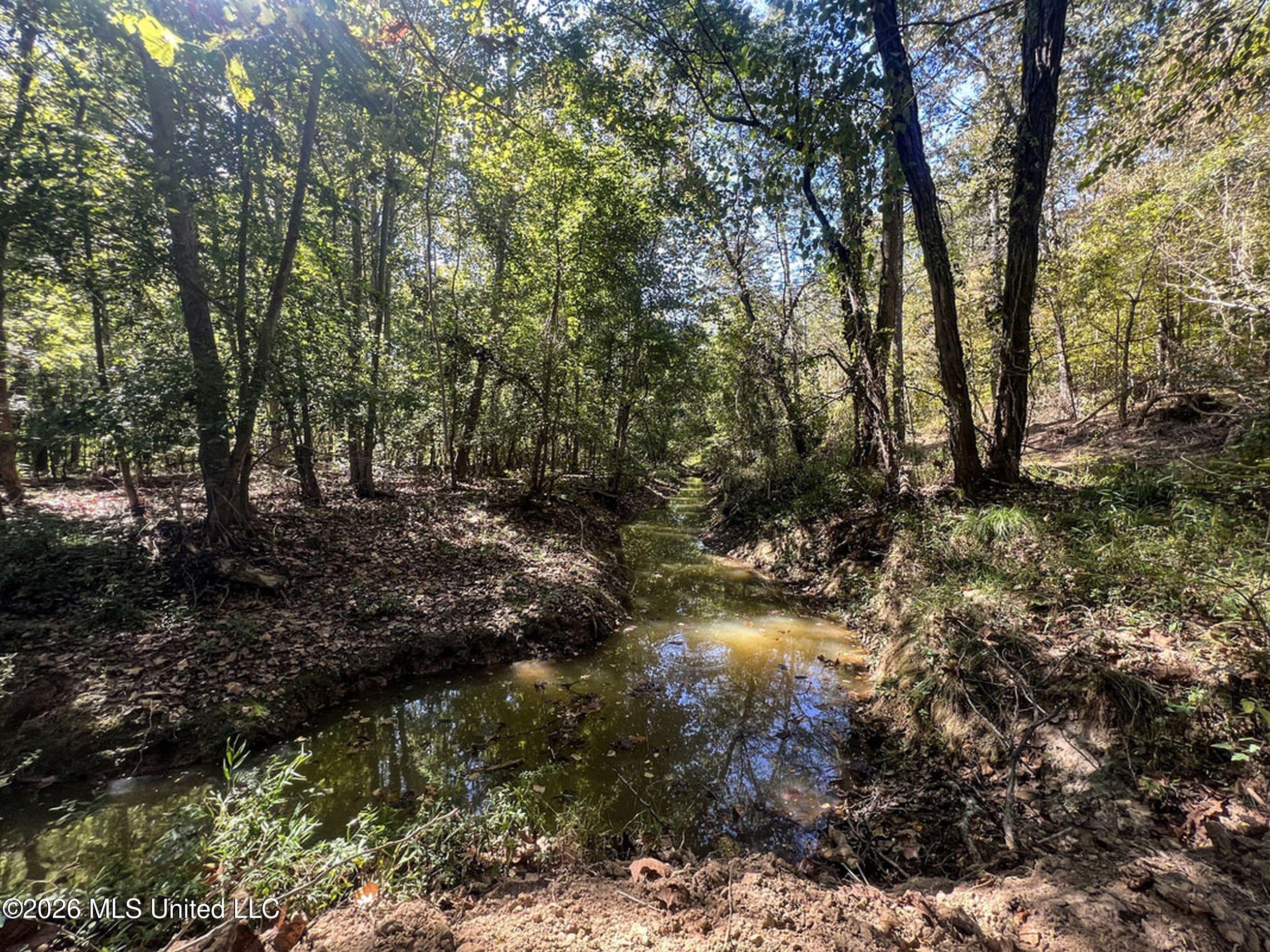 173 Cascilla Road Property Photo 61