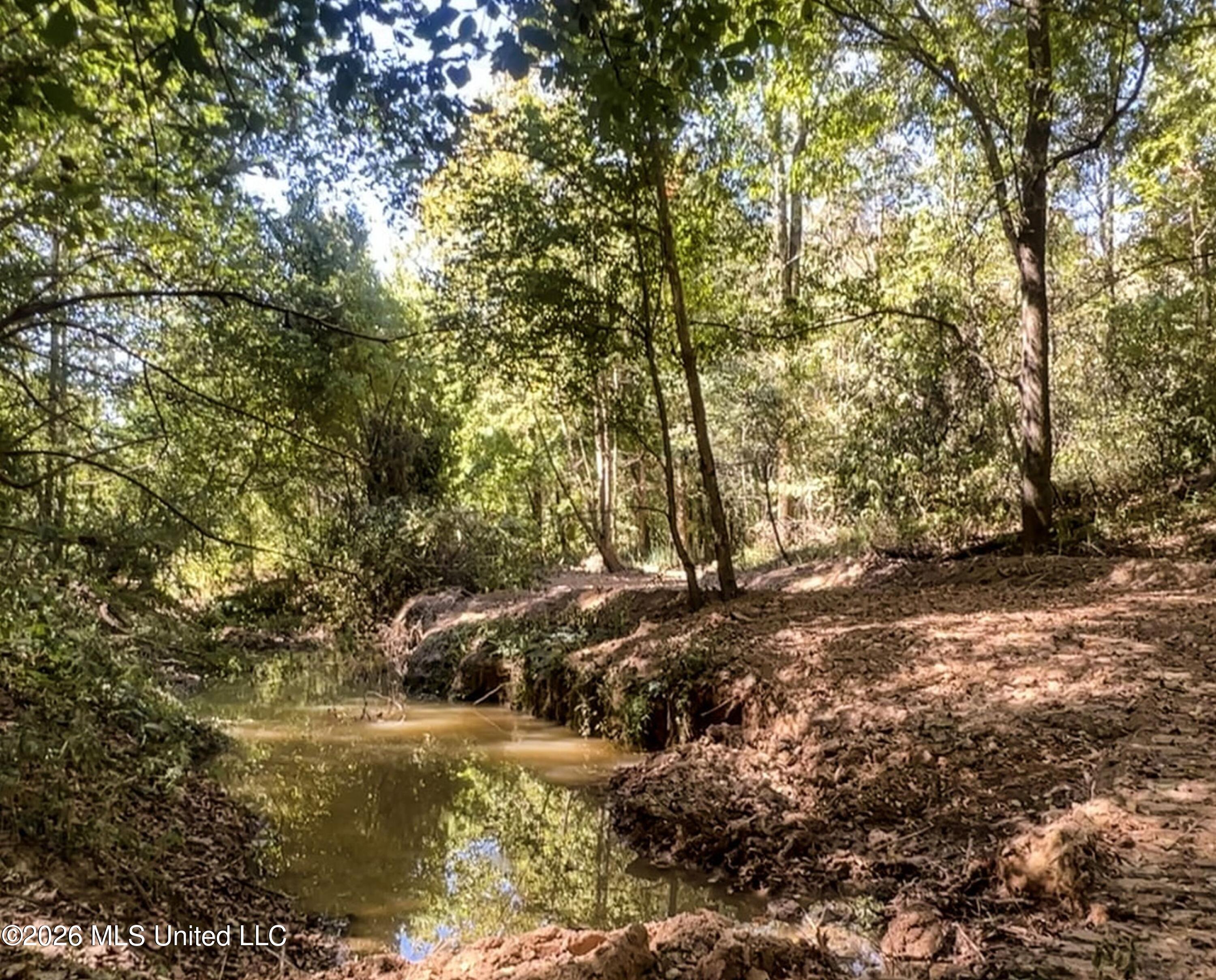 173 Cascilla Road Property Photo 62