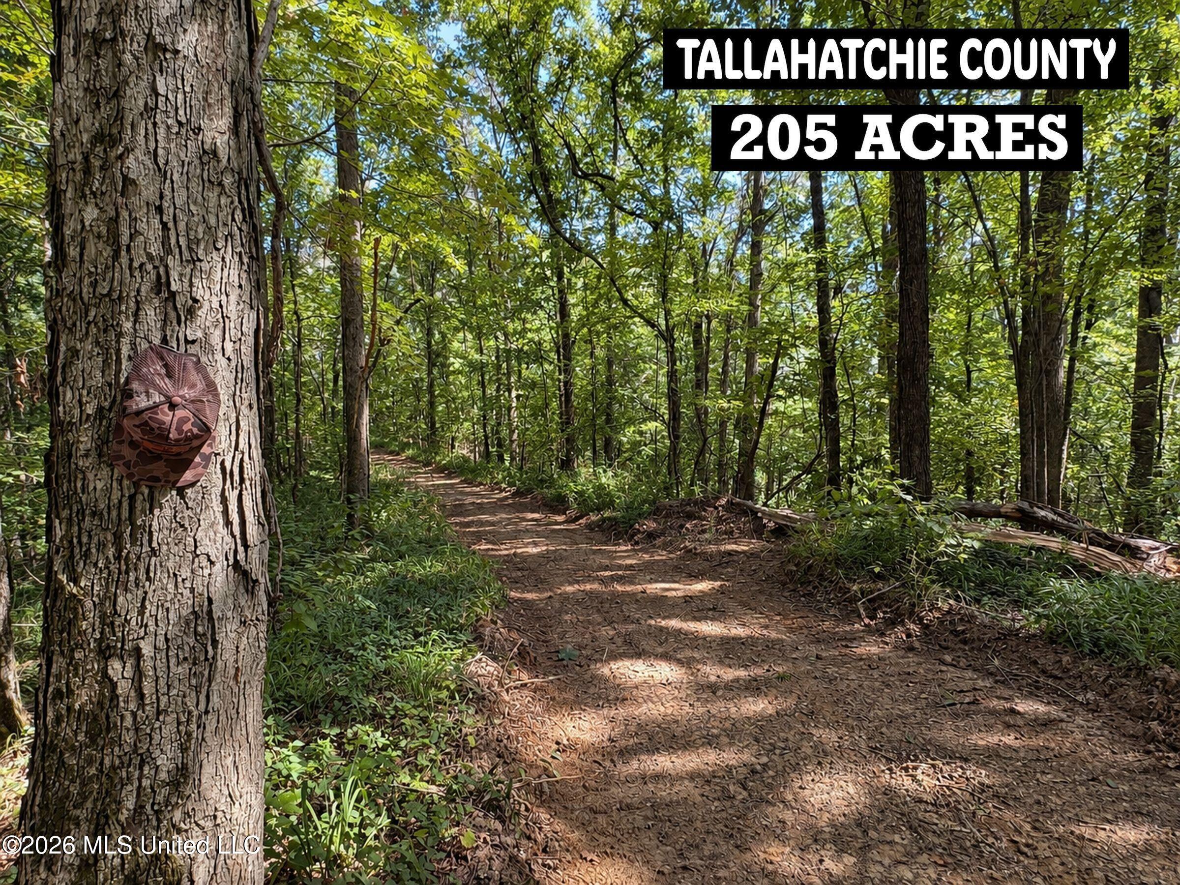 173 Cascilla Road Property Photo 68