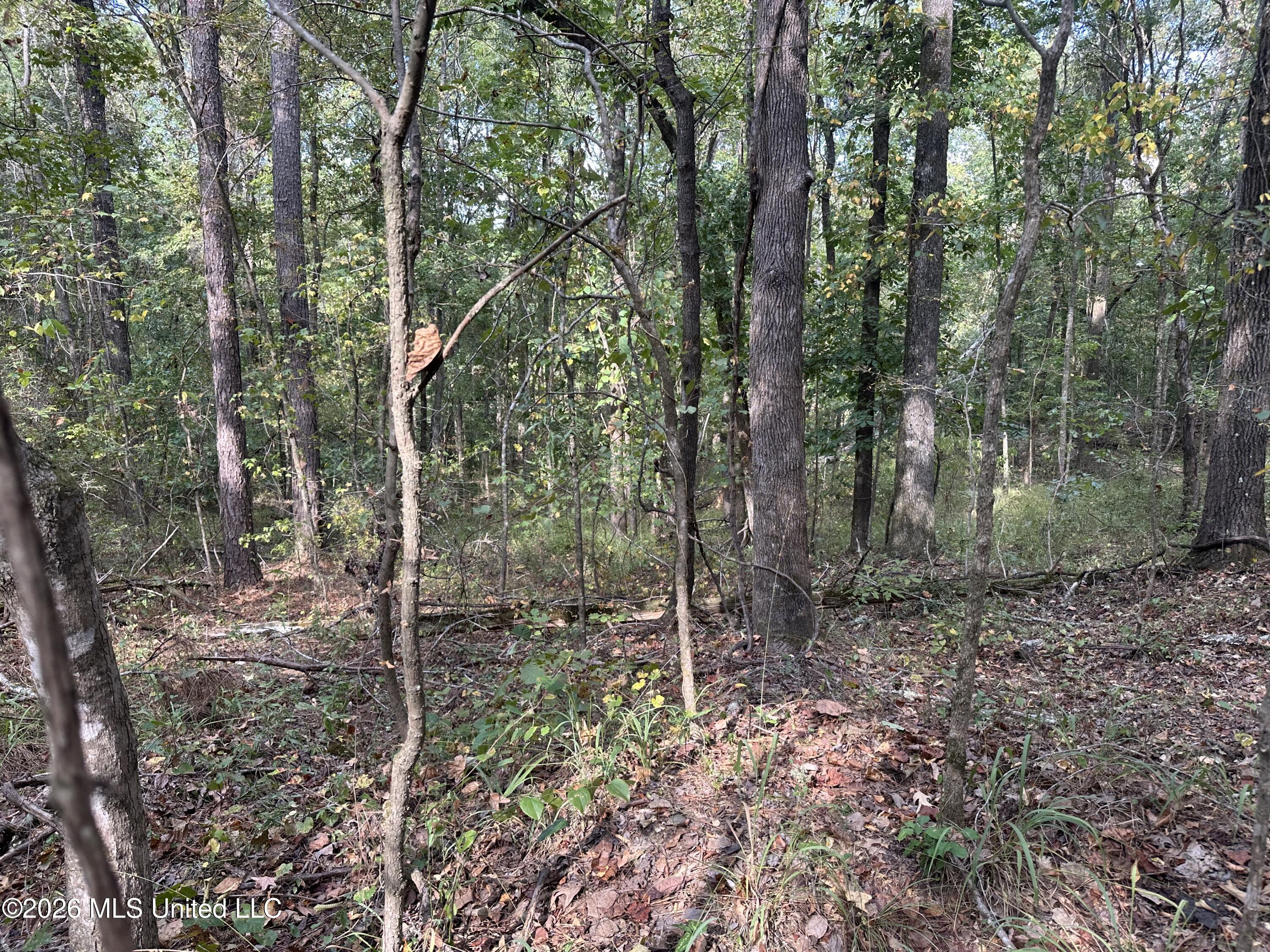 329 Big Man Road Property Photo 2
