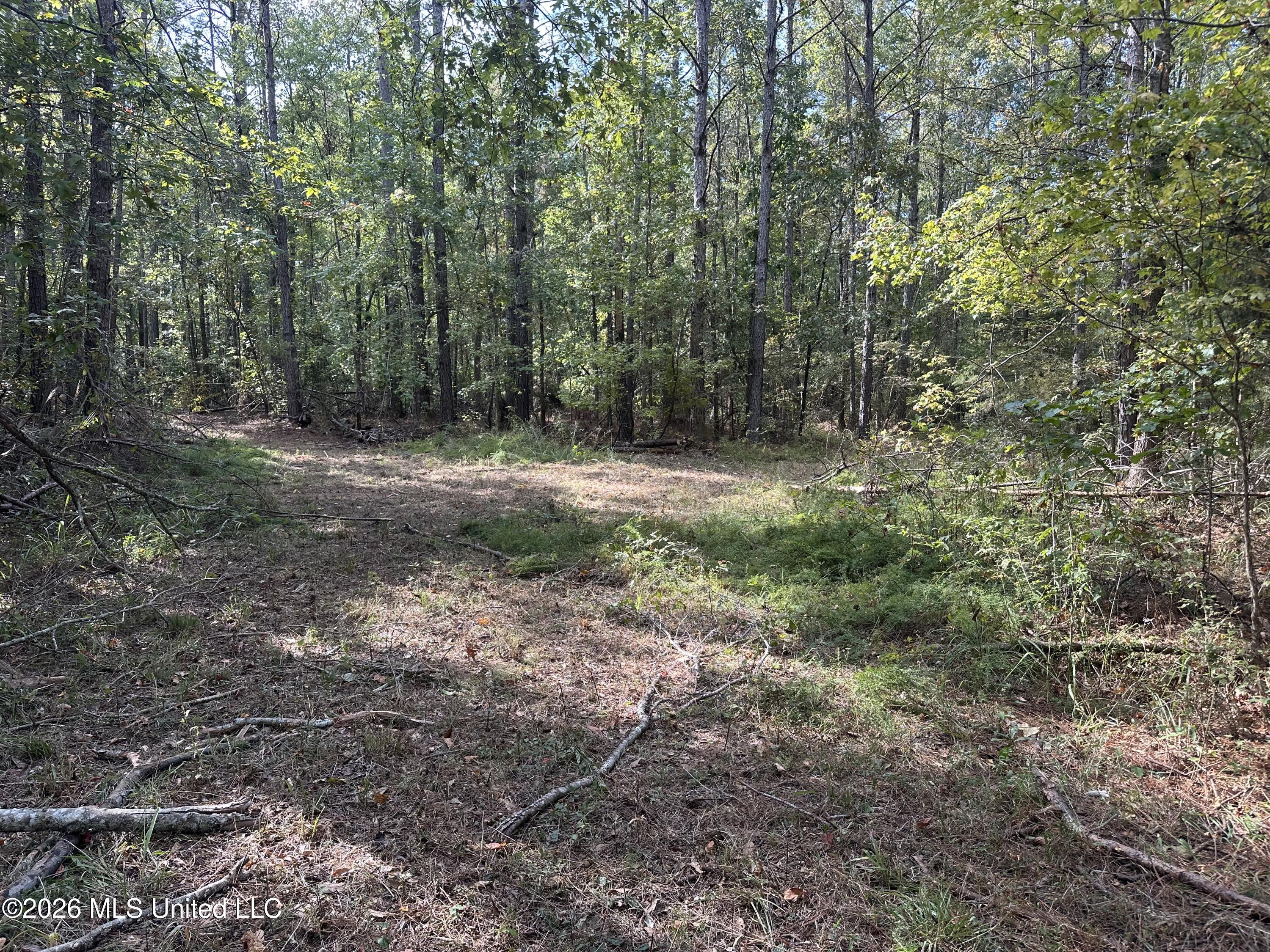329 Big Man Road Property Photo 3