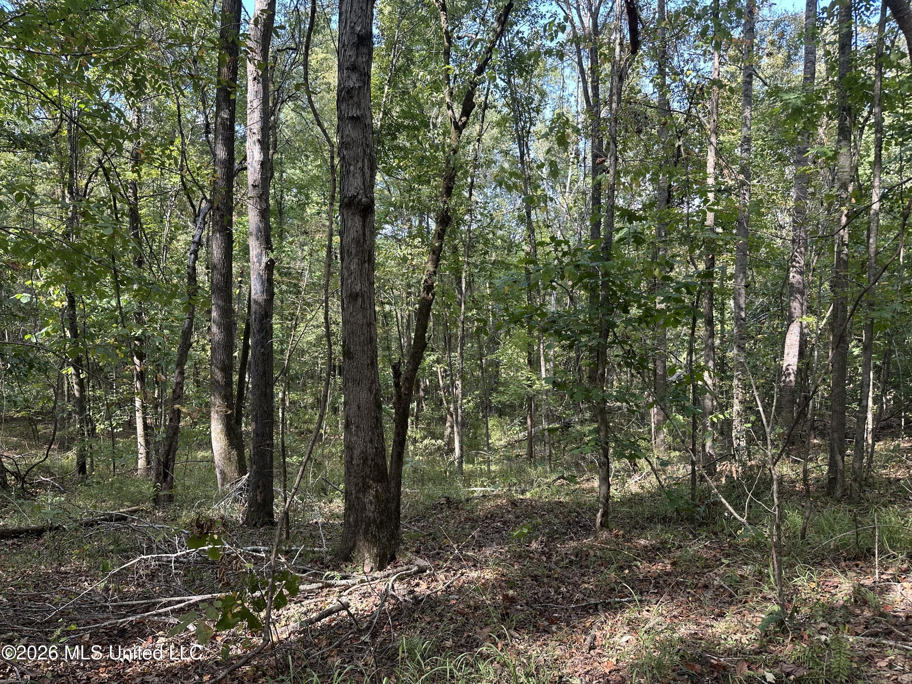 329 Big Man Road Property Photo 4