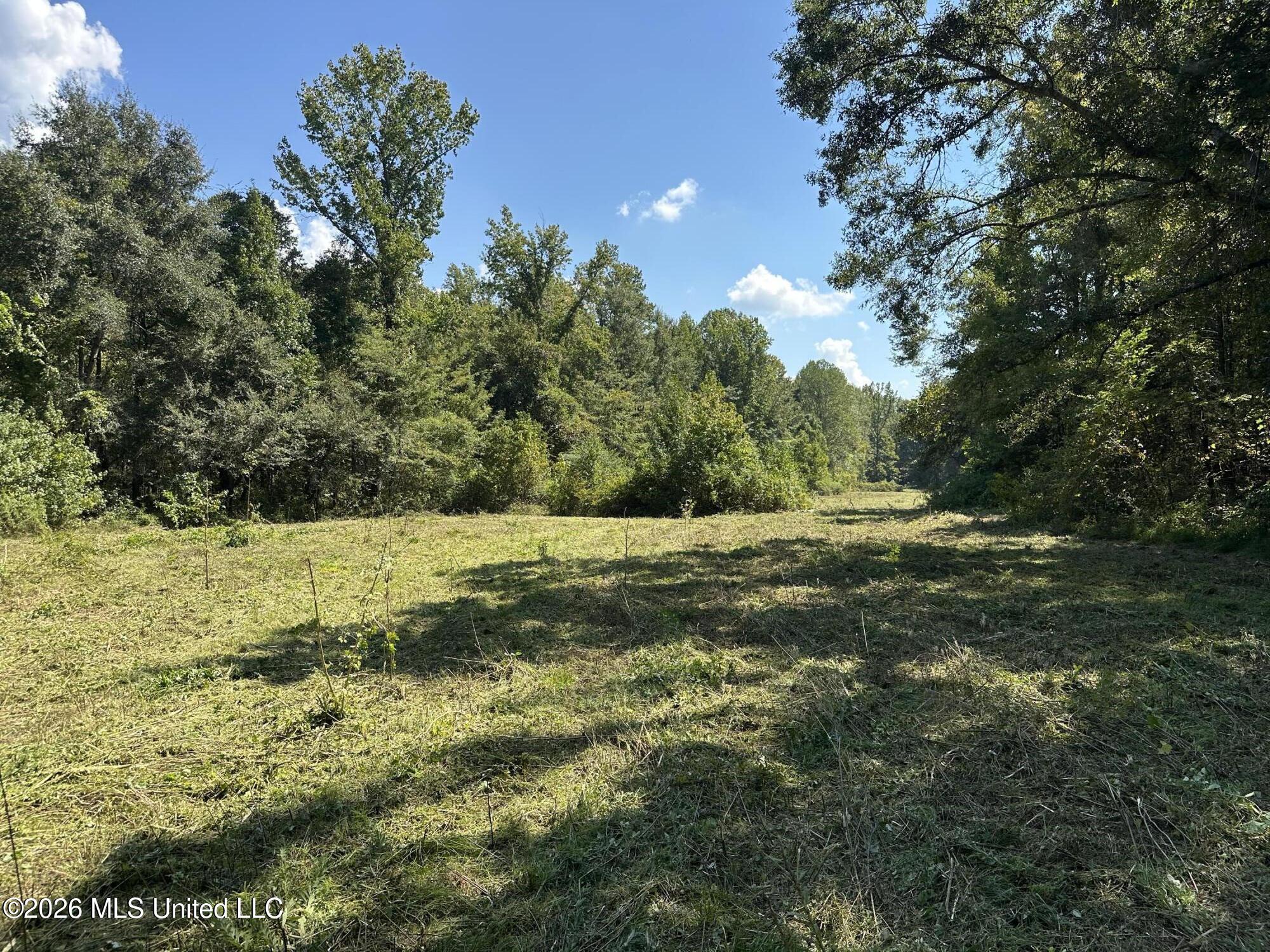 329 Big Man Road Property Photo 5