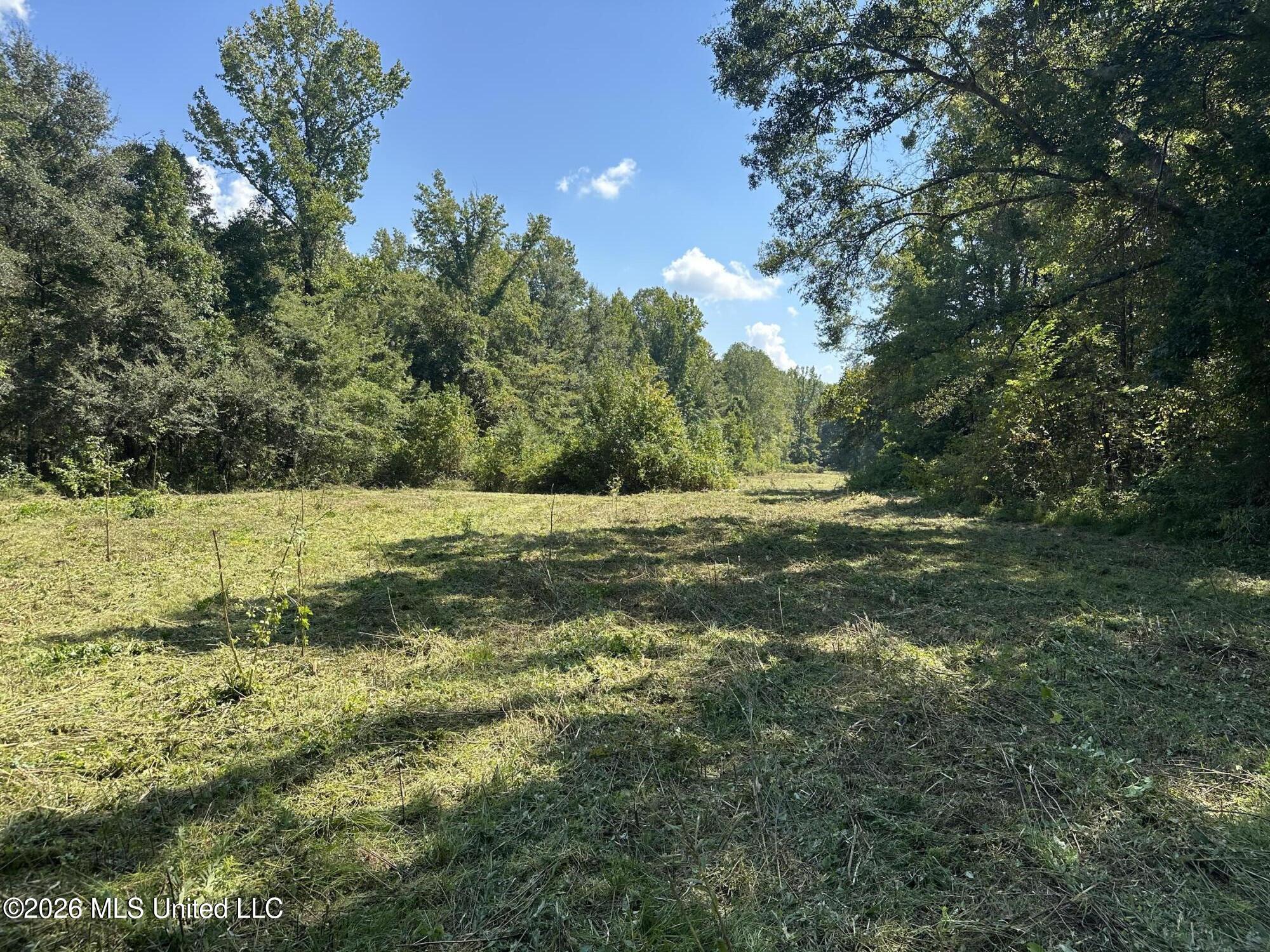 329 Big Man Road Property Photo 6