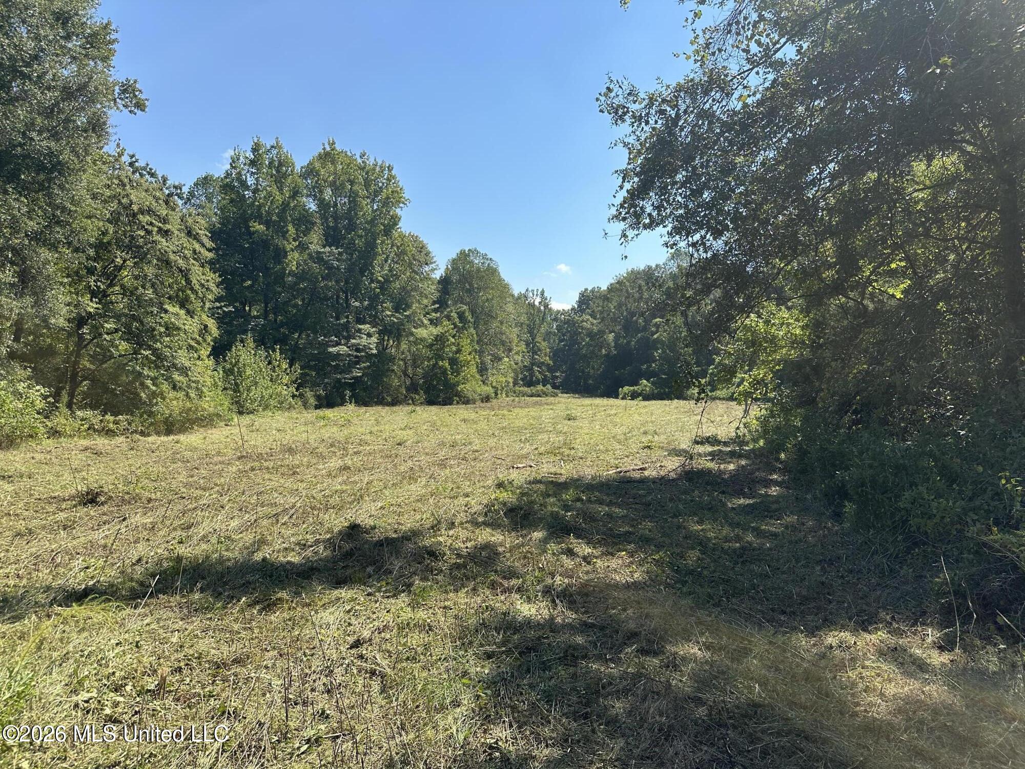 329 Big Man Road Property Photo 7