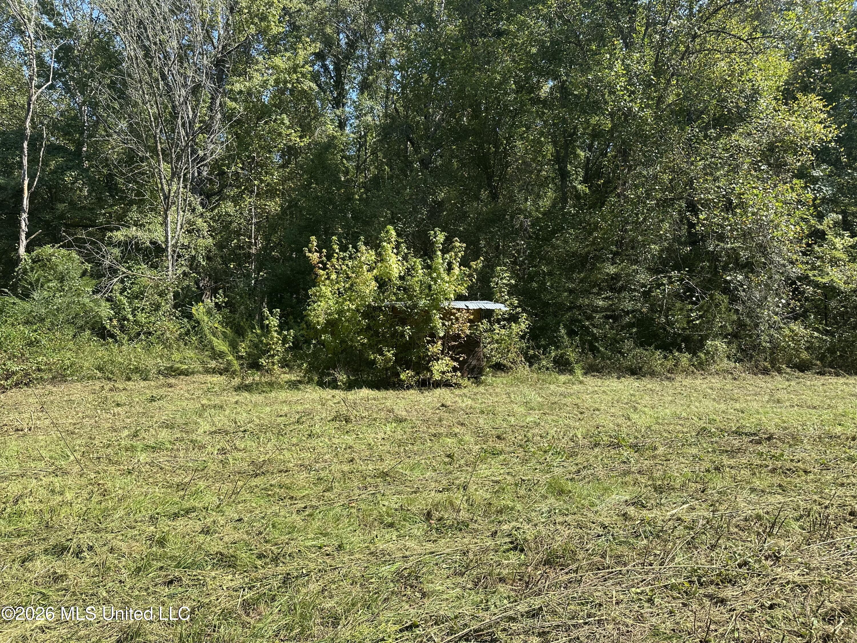 329 Big Man Road Property Photo 8