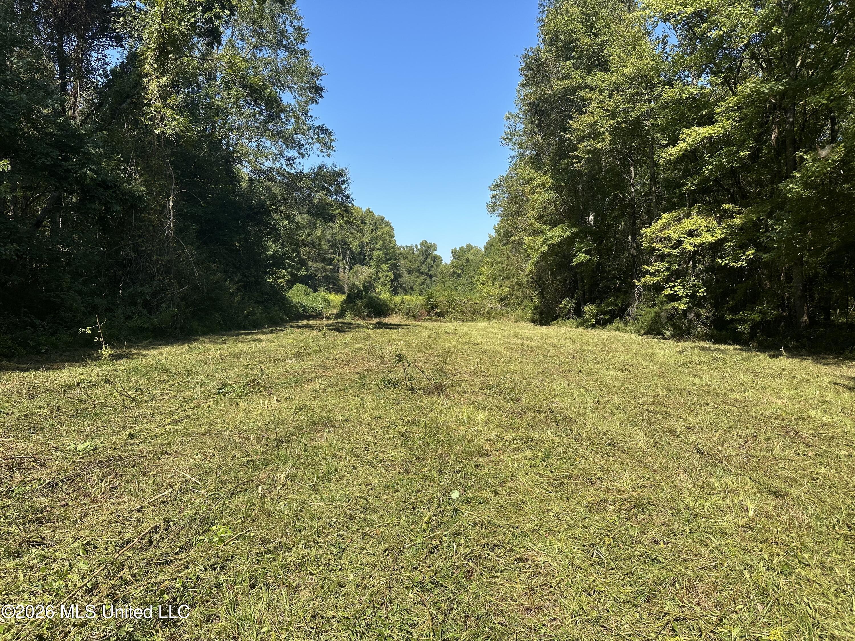 329 Big Man Road Property Photo 9