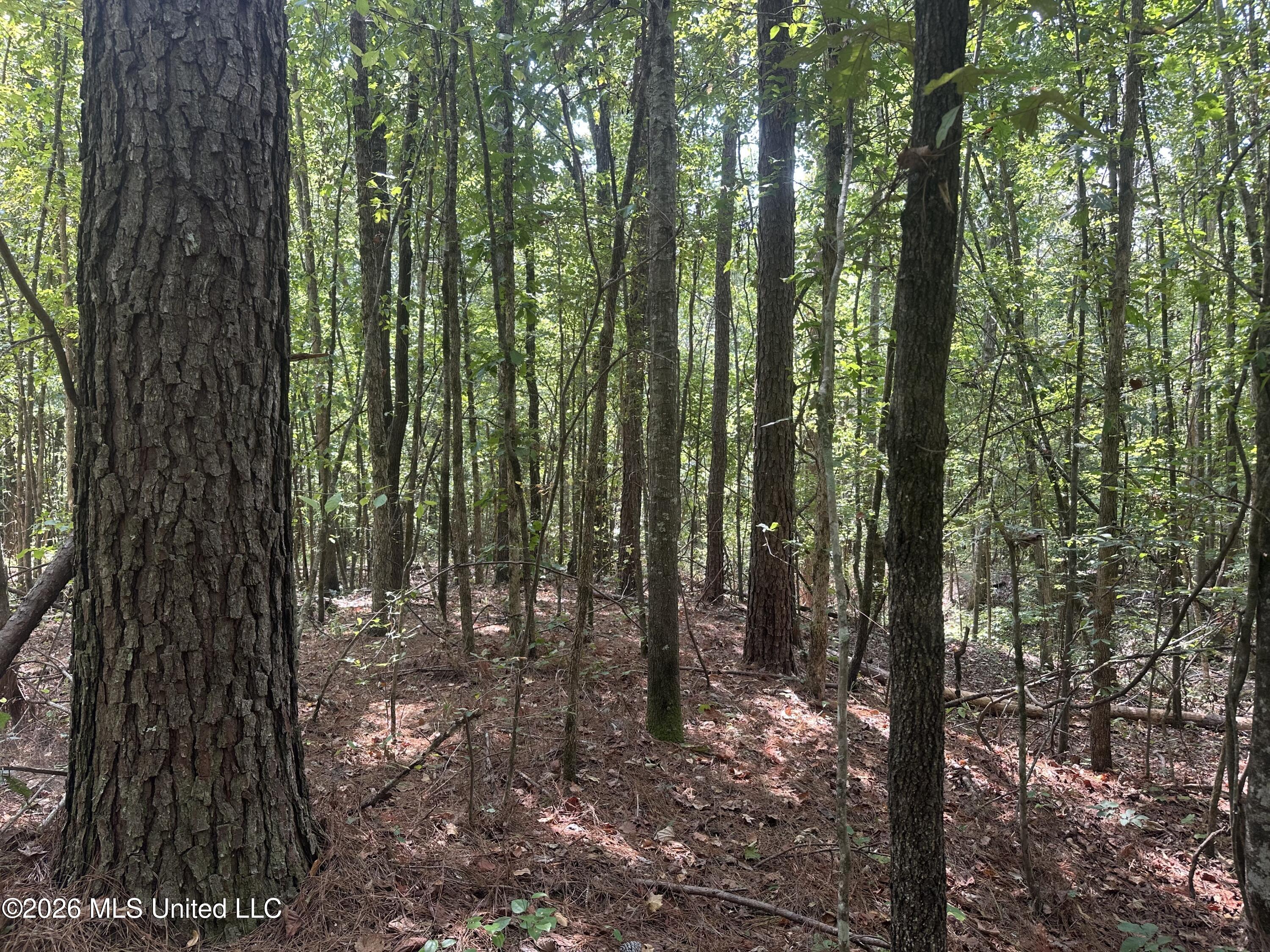 329 Big Man Road Property Photo 11