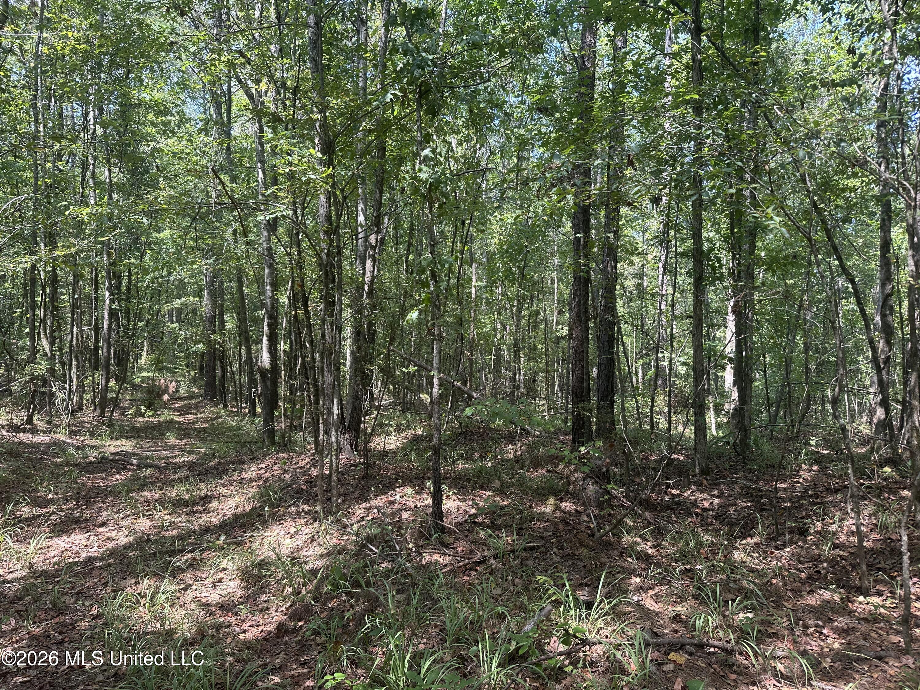 329 Big Man Road Property Photo 12