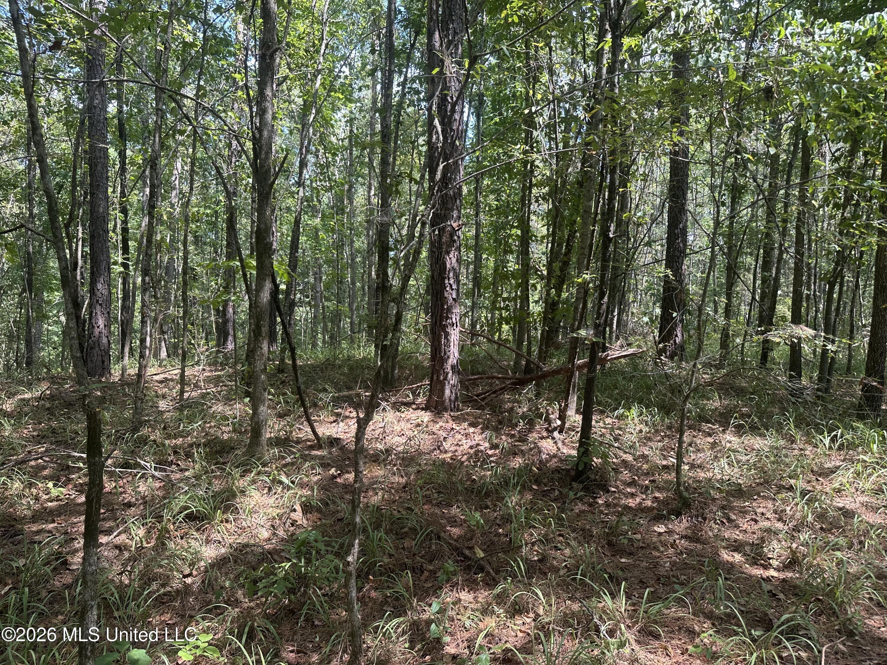 329 Big Man Road Property Photo 13