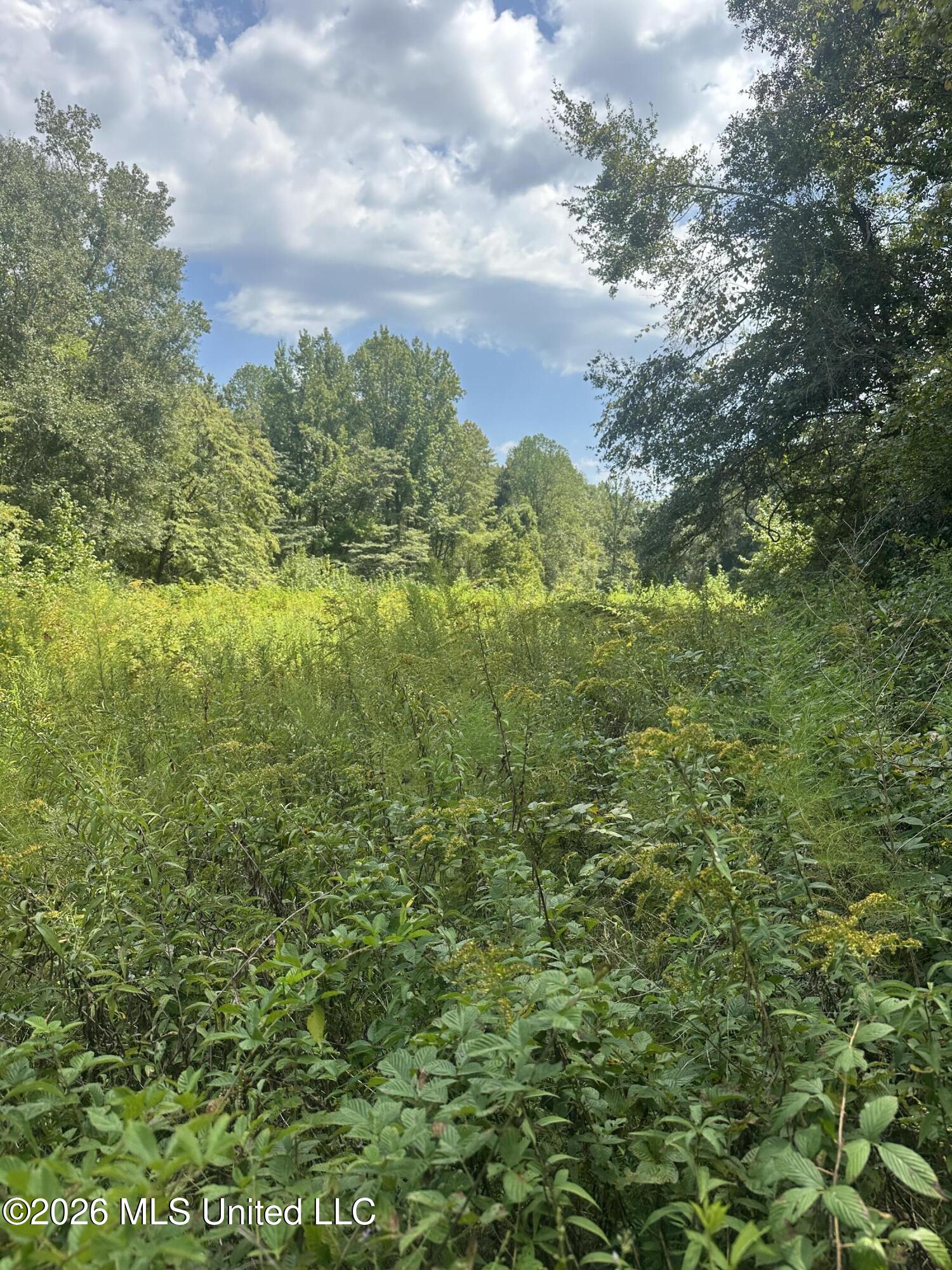 329 Big Man Road Property Photo 15