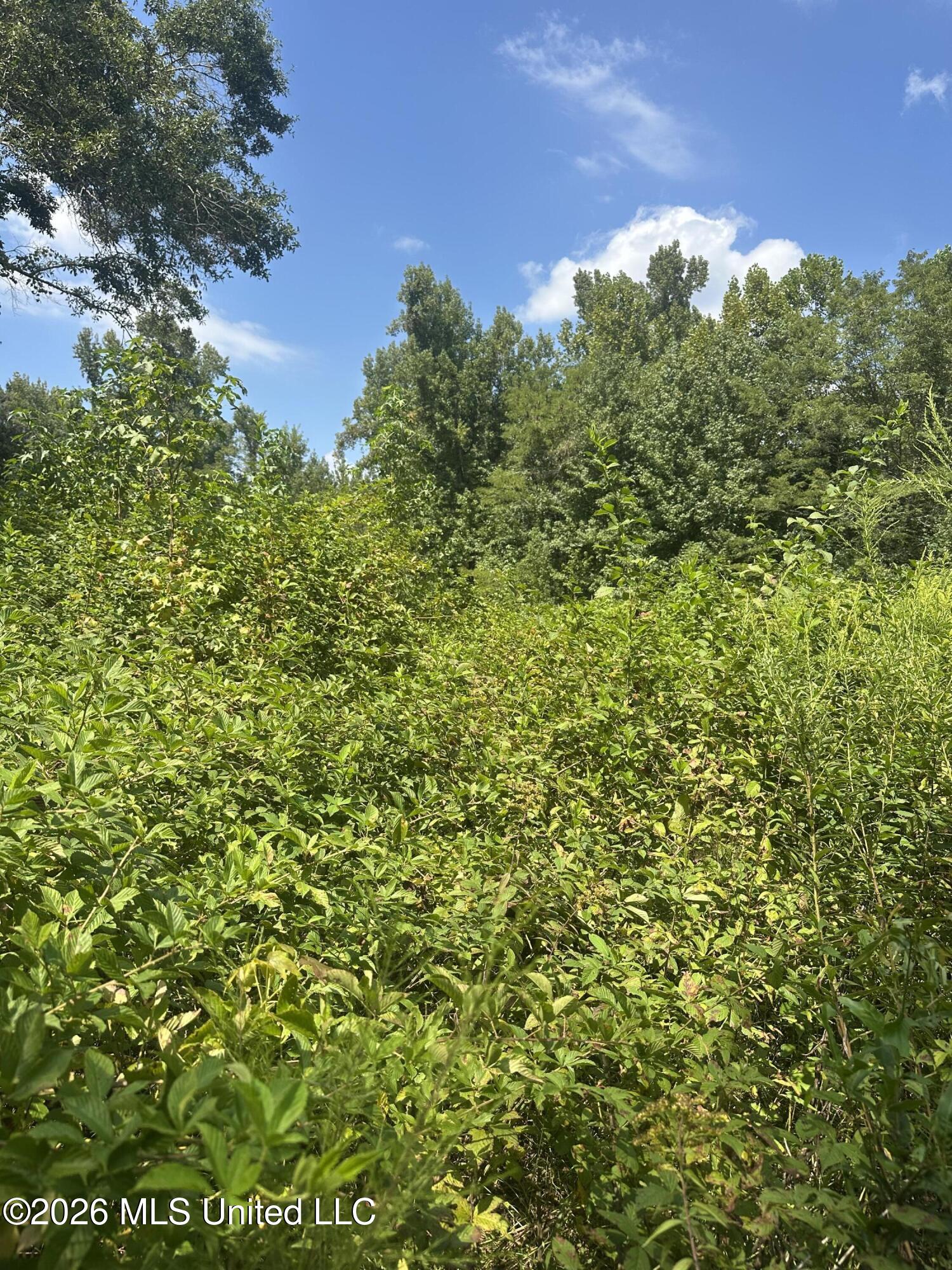 329 Big Man Road Property Photo 16