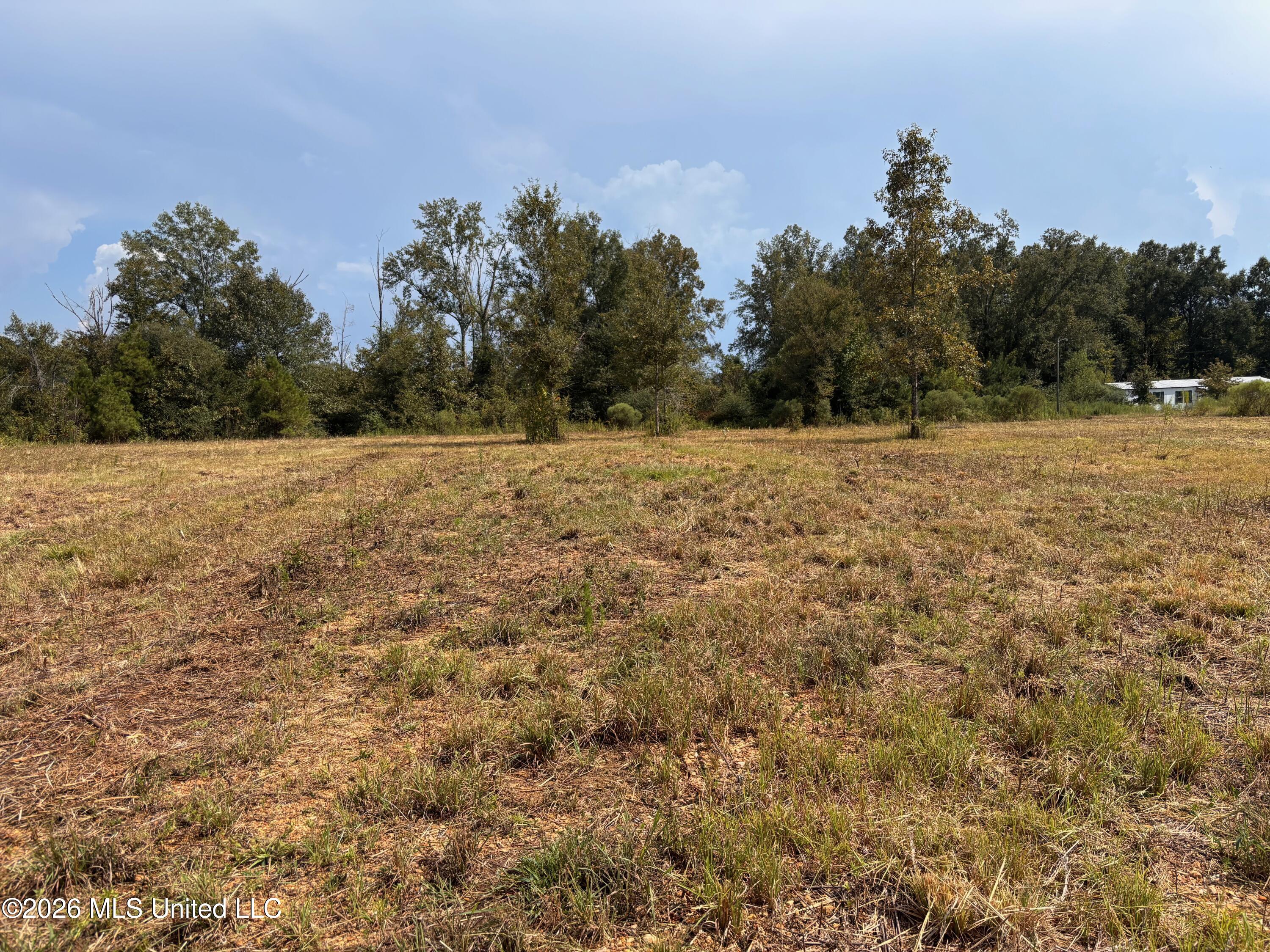 3170 Bahalia Road Property Photo 6