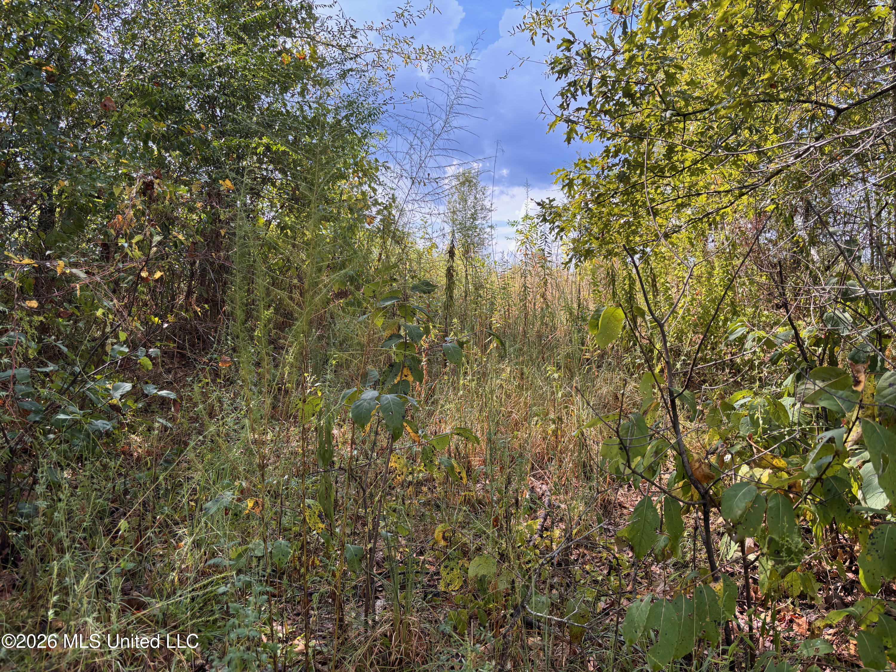 3170 Bahalia Road Property Photo 9