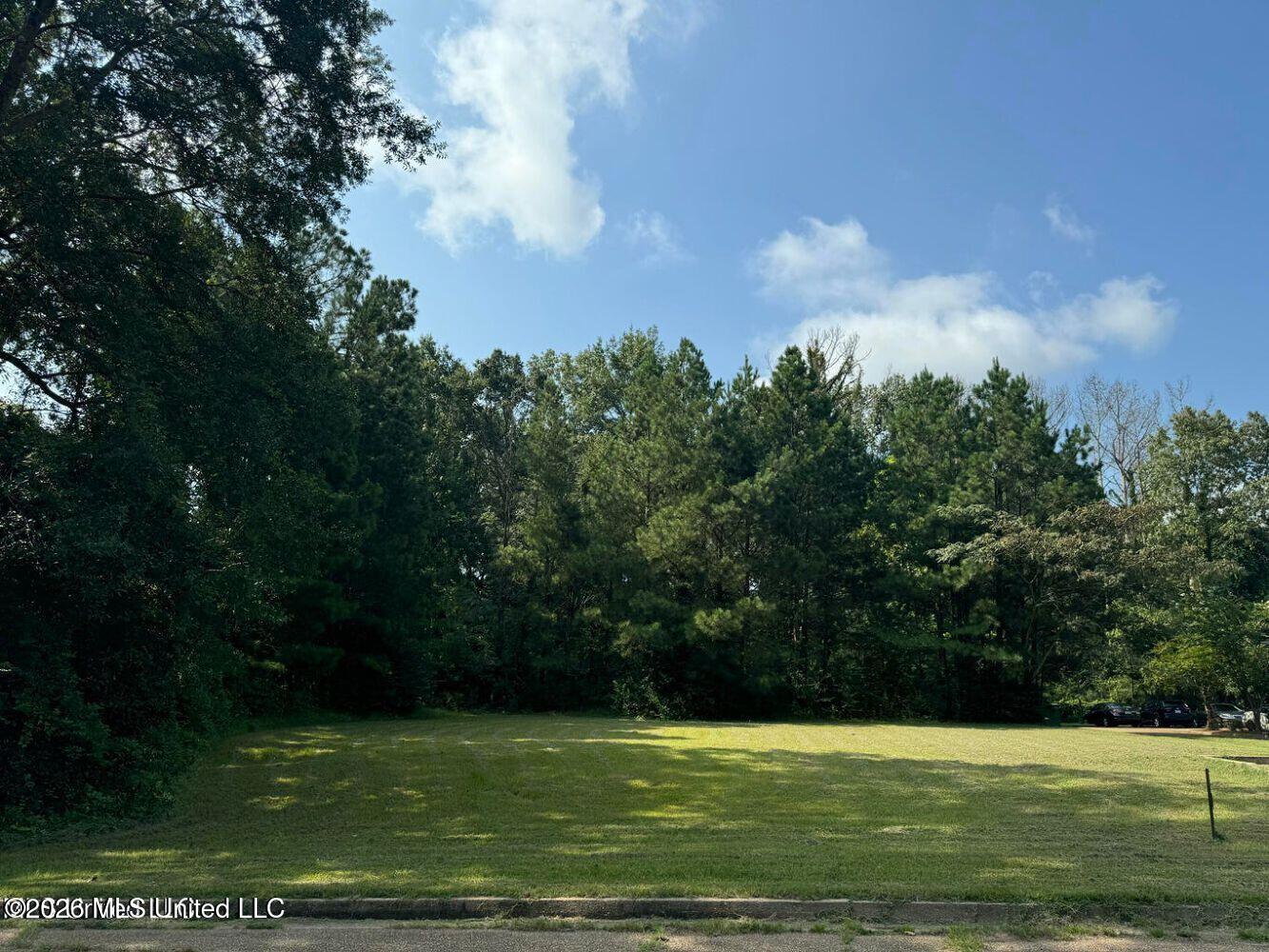 Legacy Park Drive Property Photo 2