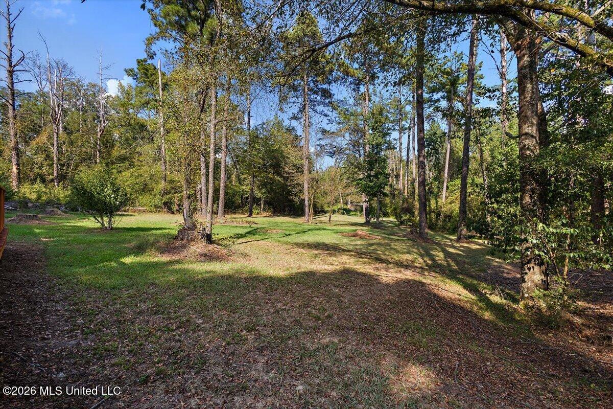 116 Sage Hills Drive Property Photo 34