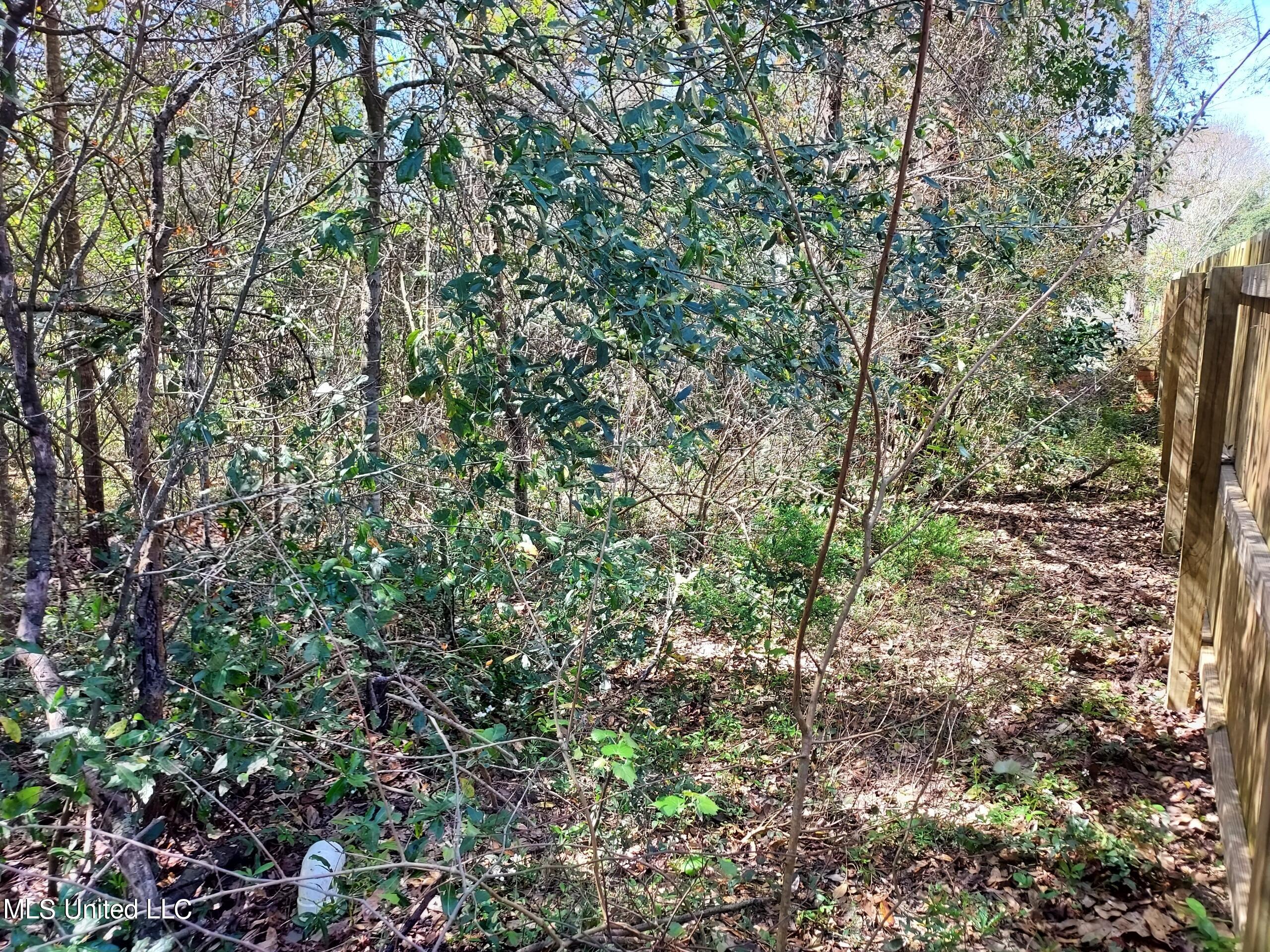 No Mauvilla Cove Property Photo 4