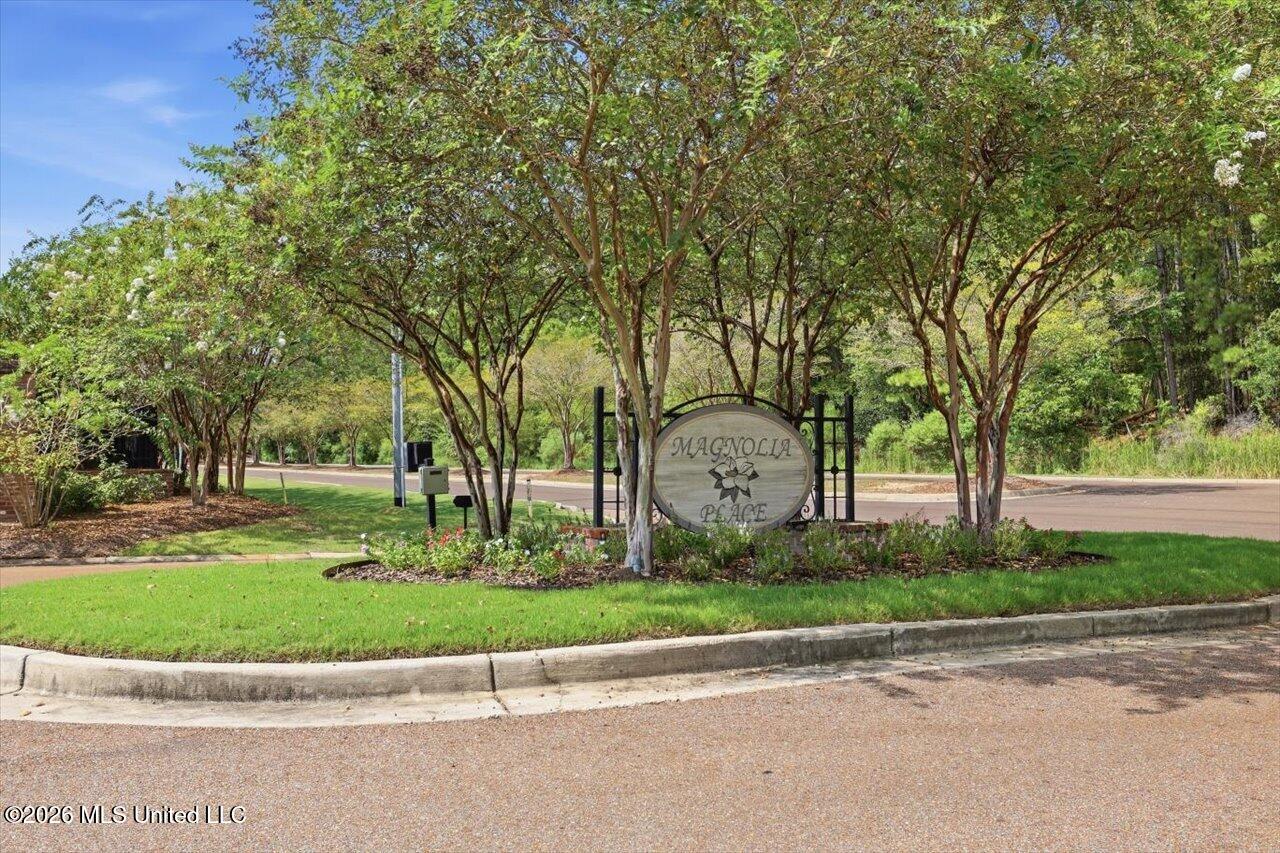156 Magnolia Place Circle Property Photo 33