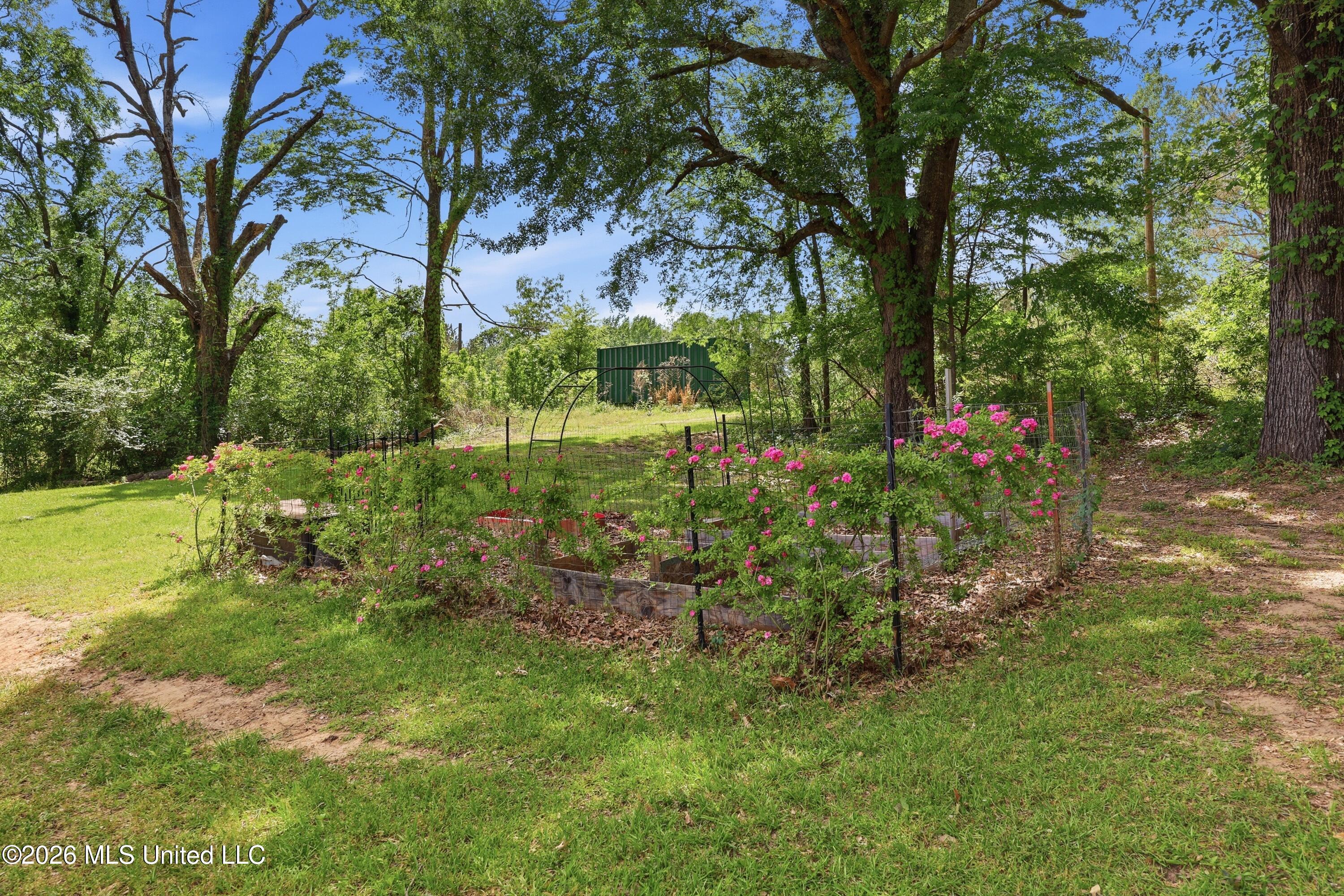 573 Clinton Tinnin Road Property Photo 38