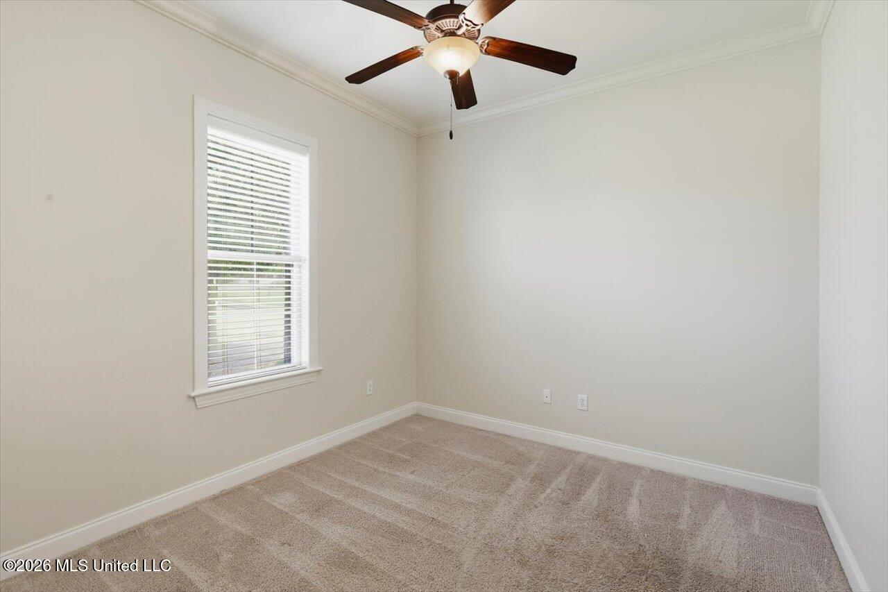 101 Esther Cove Property Photo 24