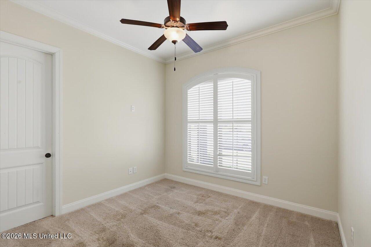 101 Esther Cove Property Photo 37