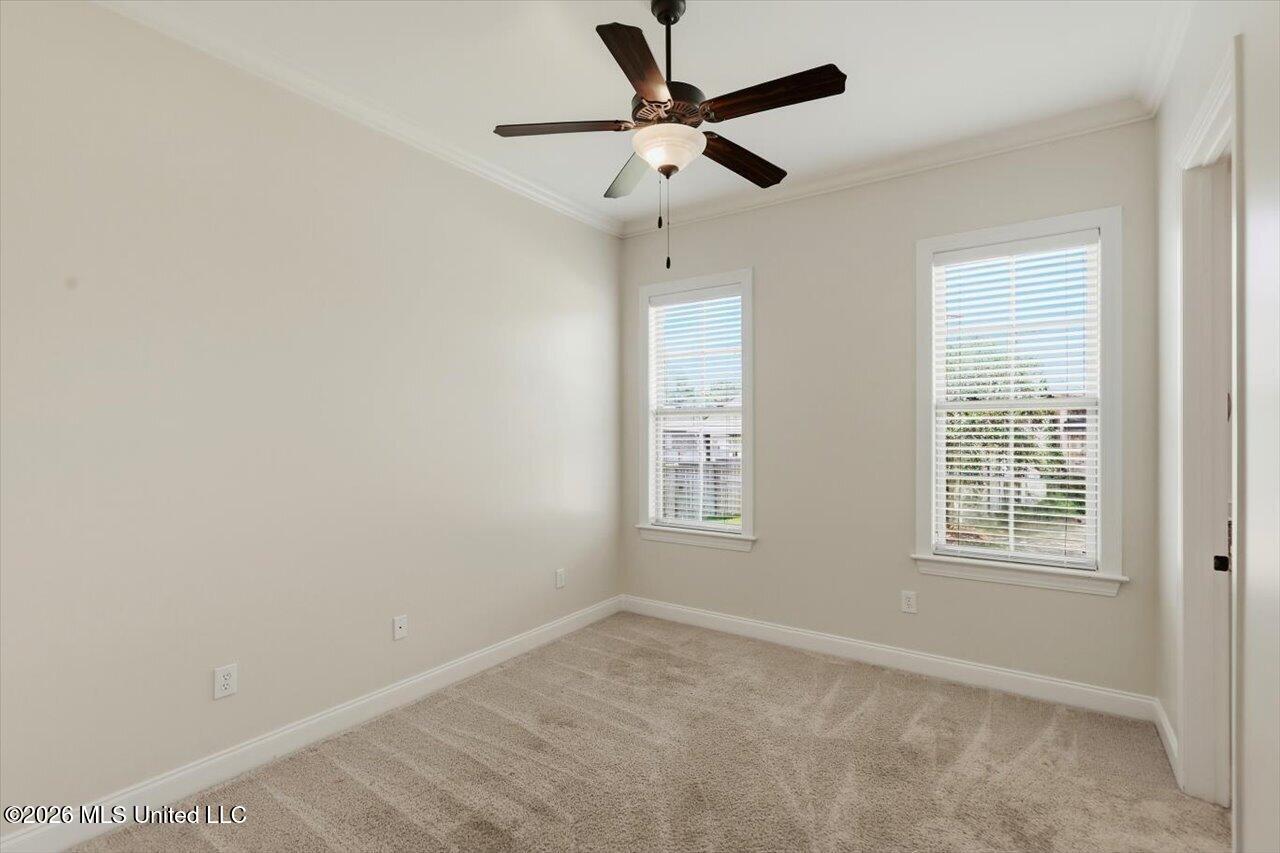 101 Esther Cove Property Photo 39