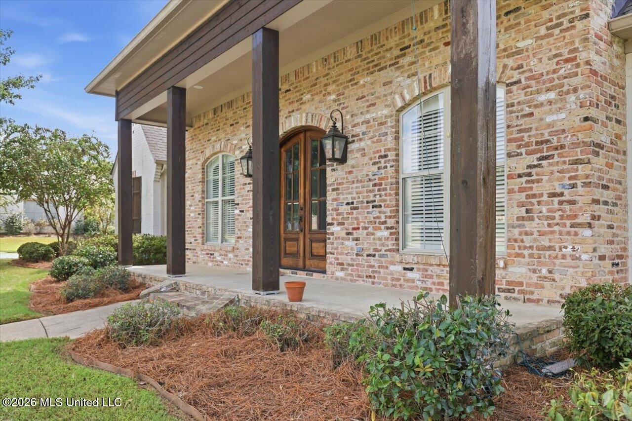 101 Esther Cove Property Photo 48