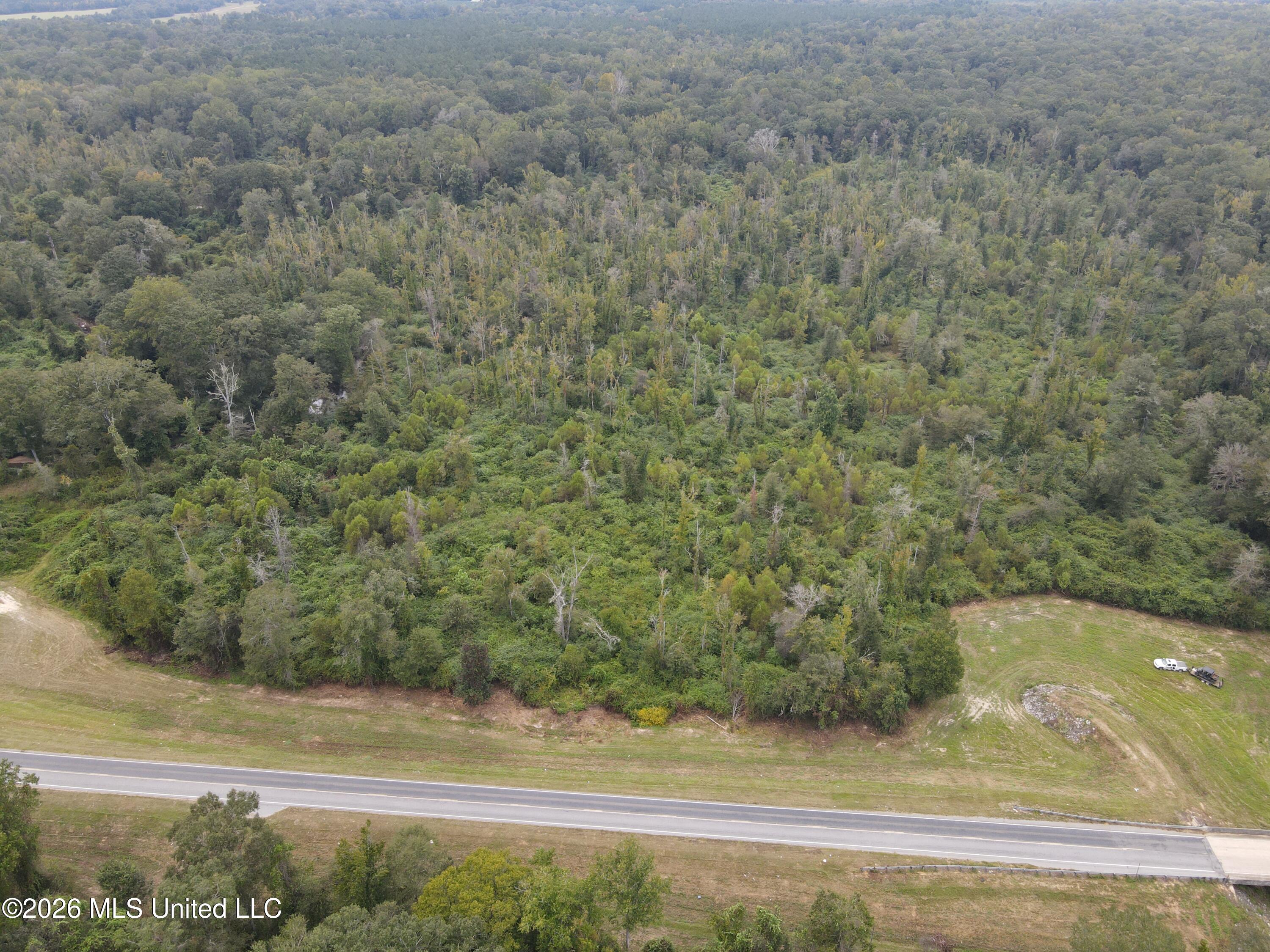 Bogue Chitto Road Property Photo 1