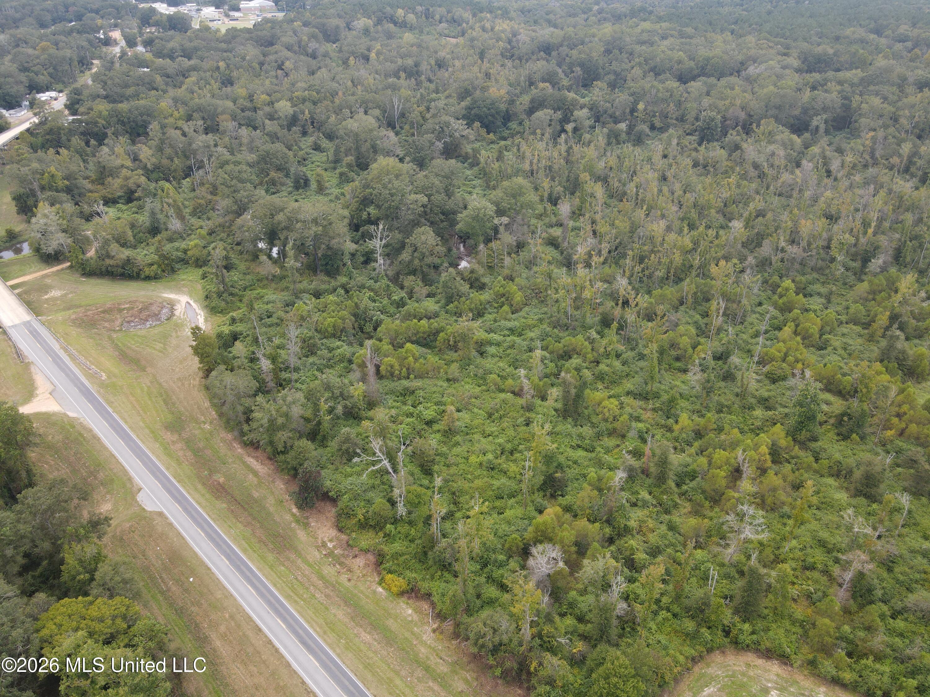 Bogue Chitto Road Property Photo 3