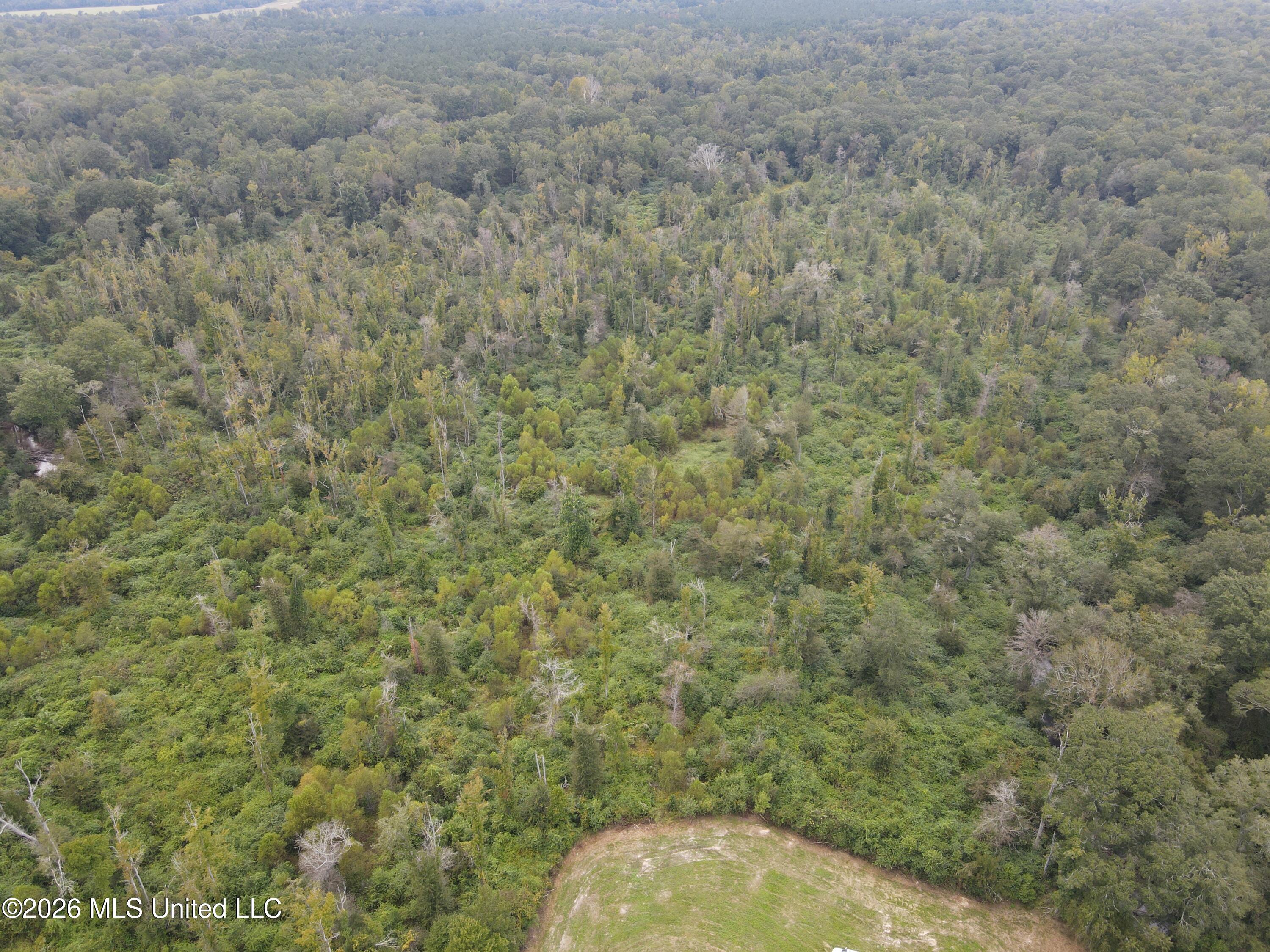 Bogue Chitto Road Property Photo 4