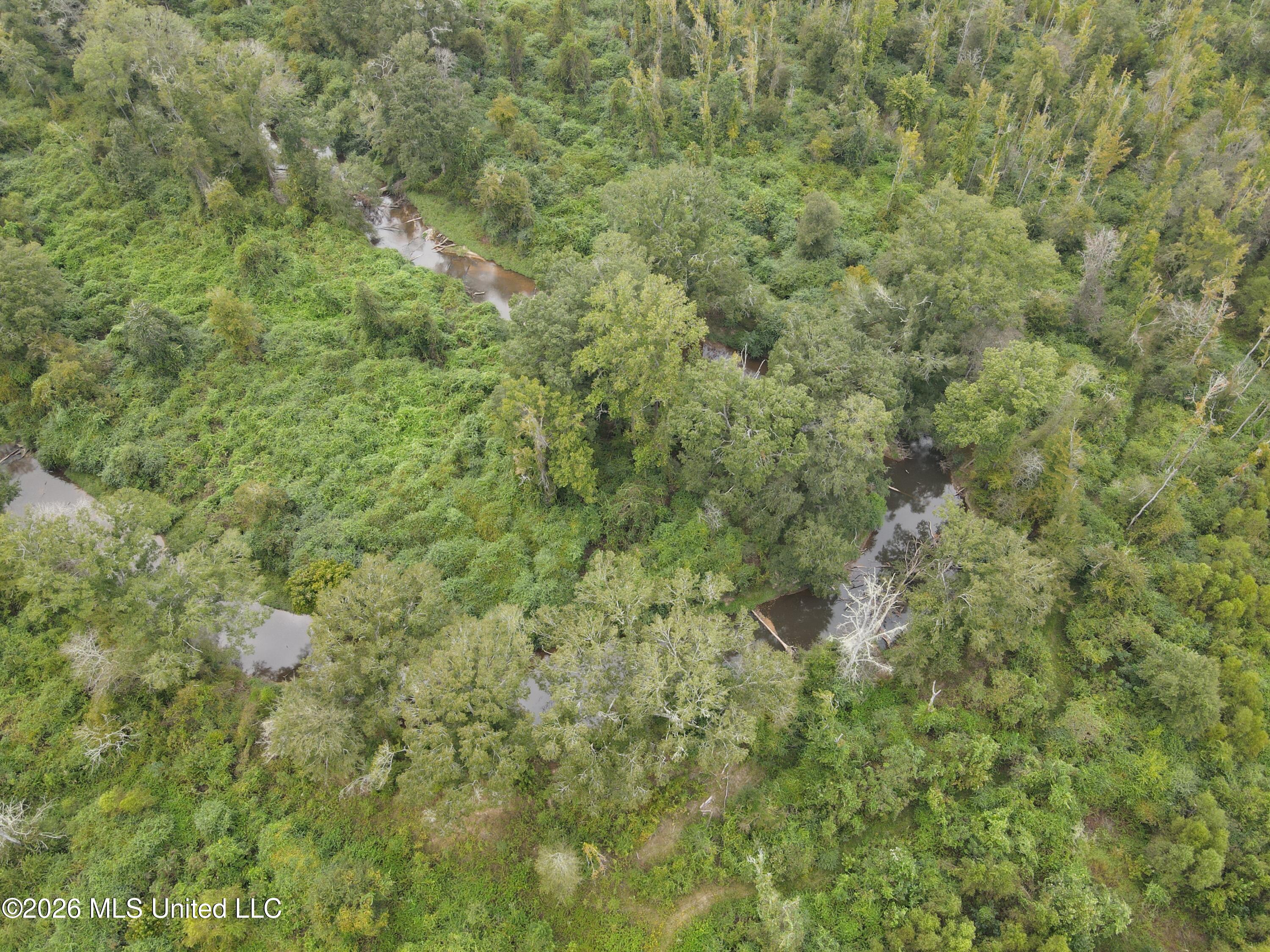Bogue Chitto Road Property Photo 5