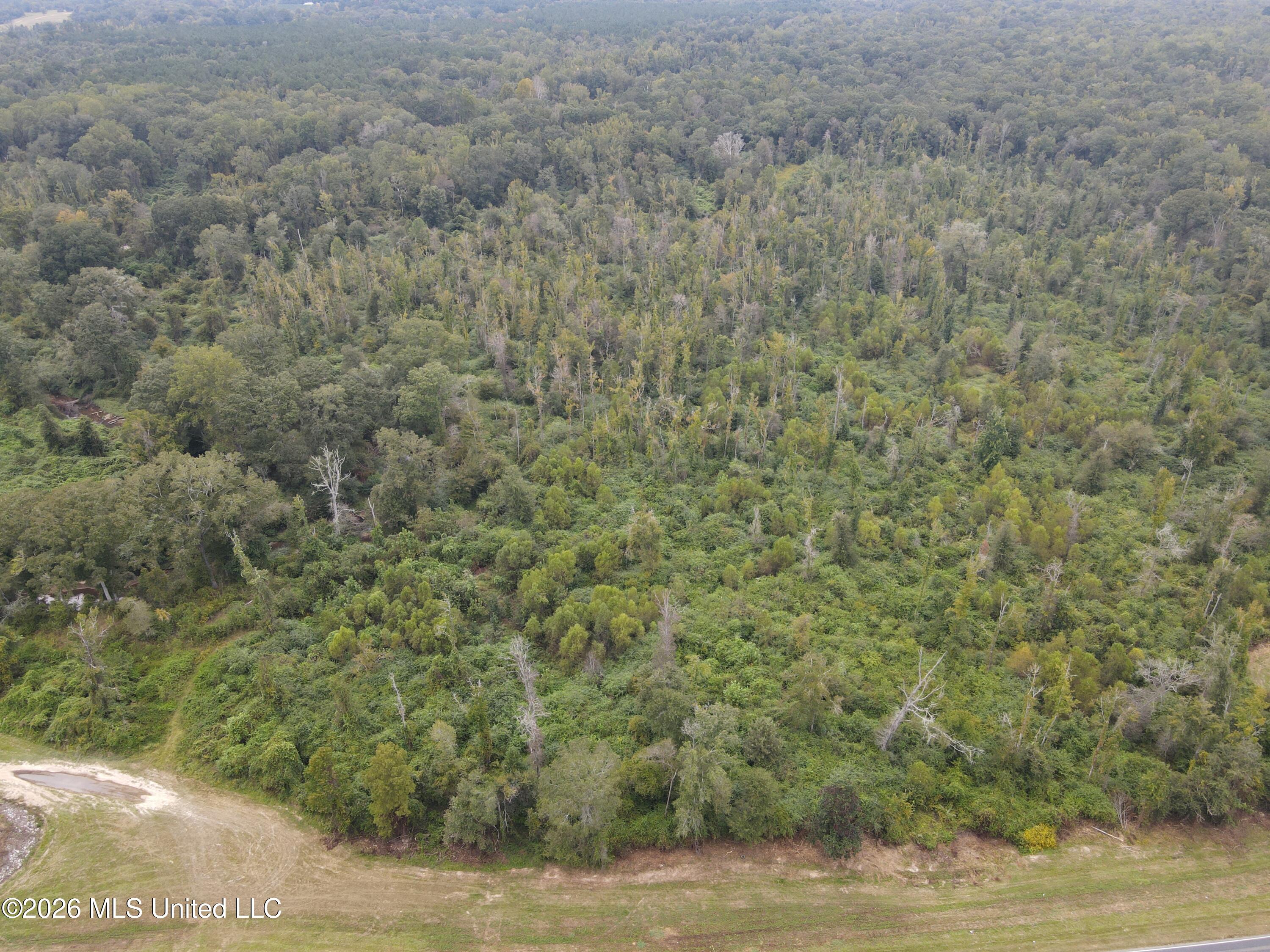 Bogue Chitto Road Property Photo 6