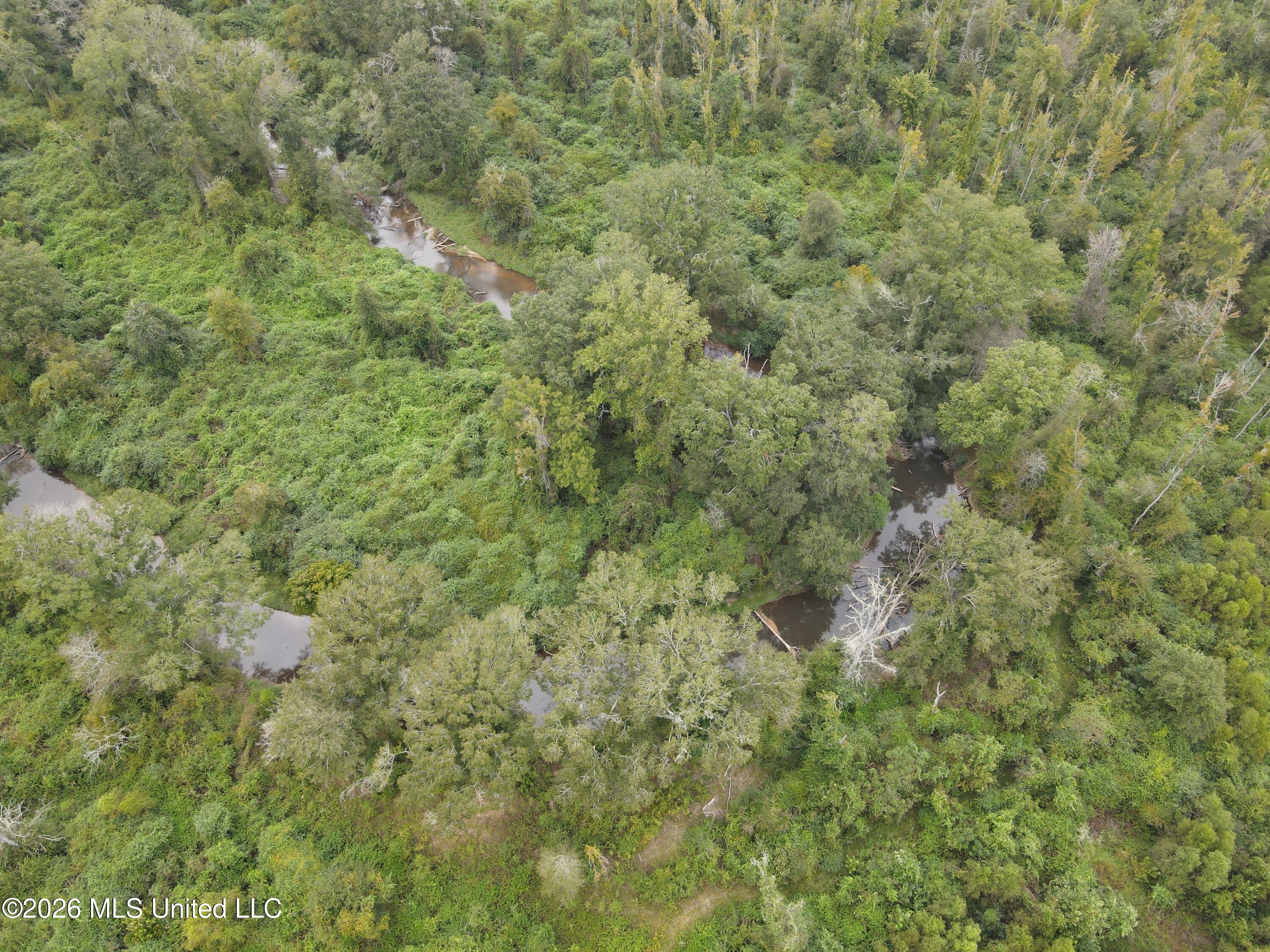 Bogue Chitto Road Property Photo 7