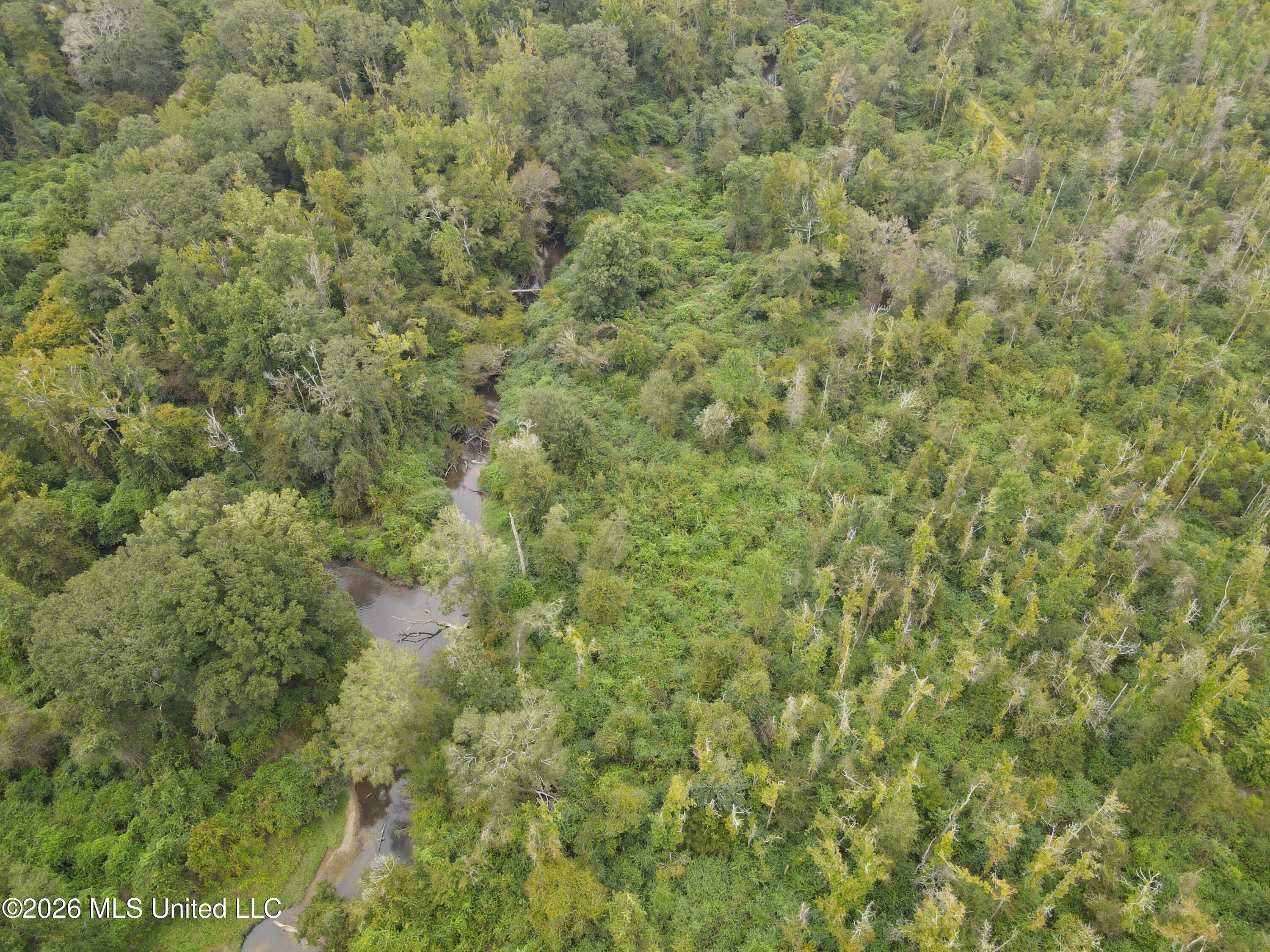 Bogue Chitto Road Property Photo 8