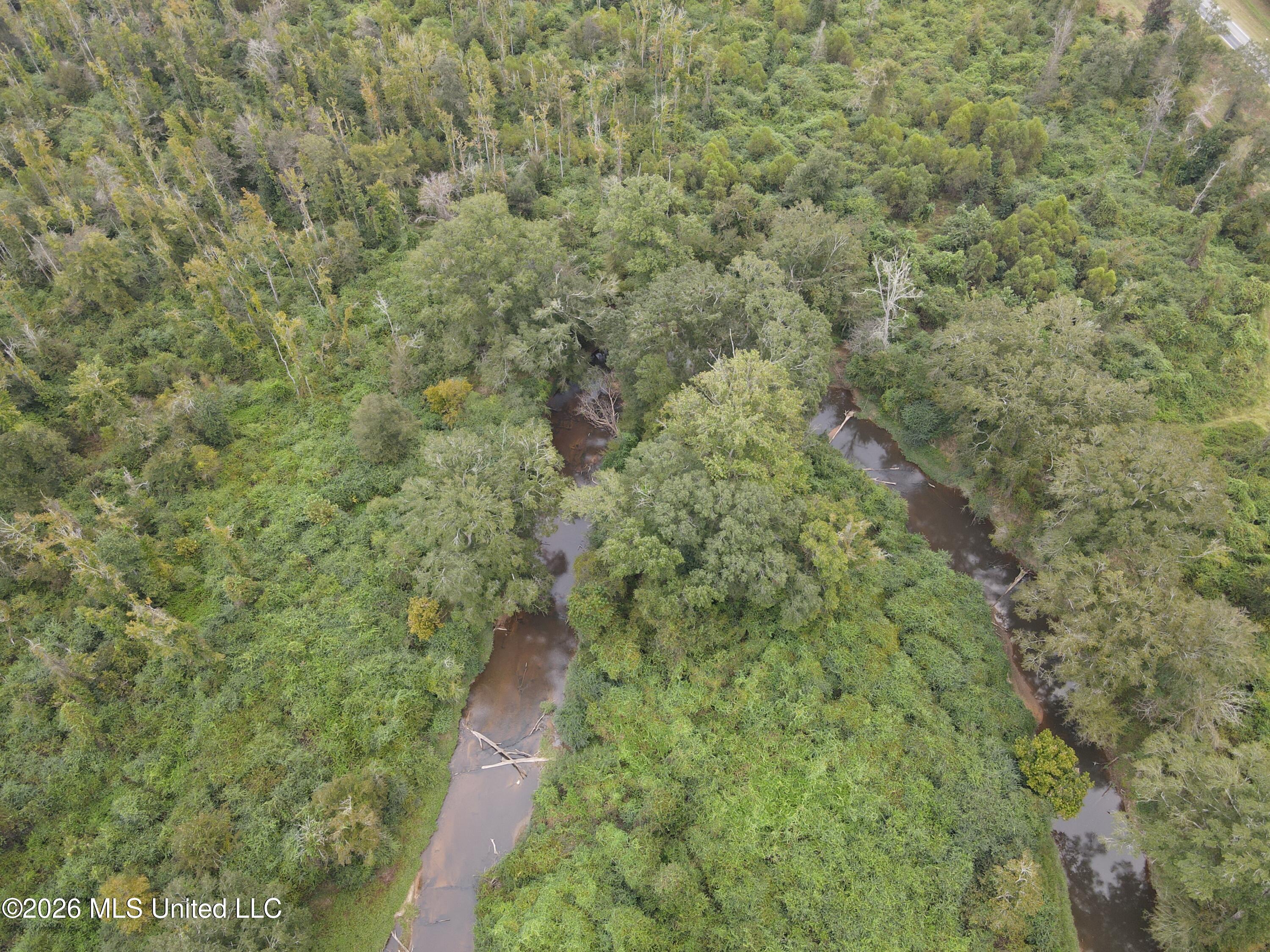 Bogue Chitto Road Property Photo 9