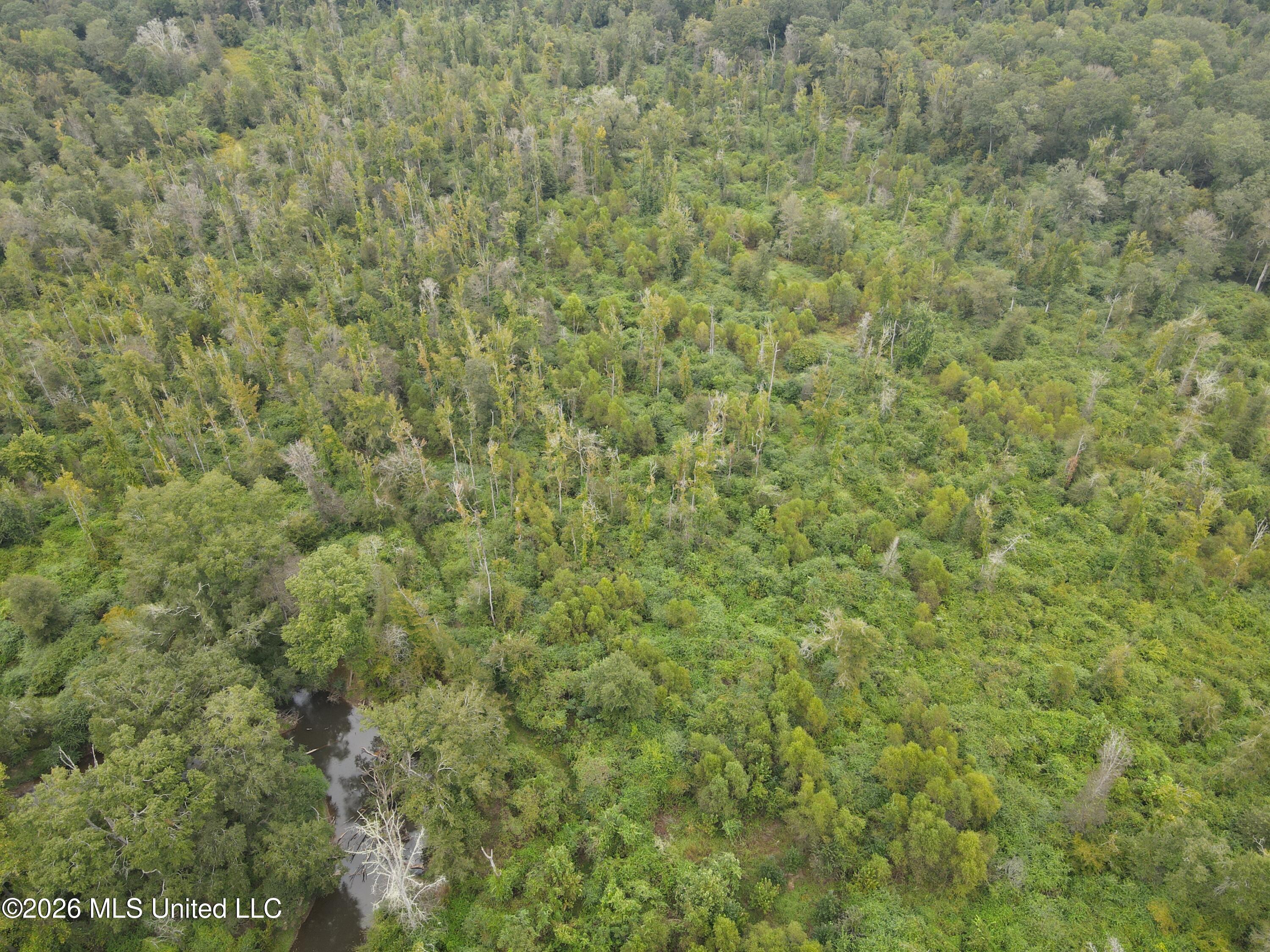 Bogue Chitto Road Property Photo 10