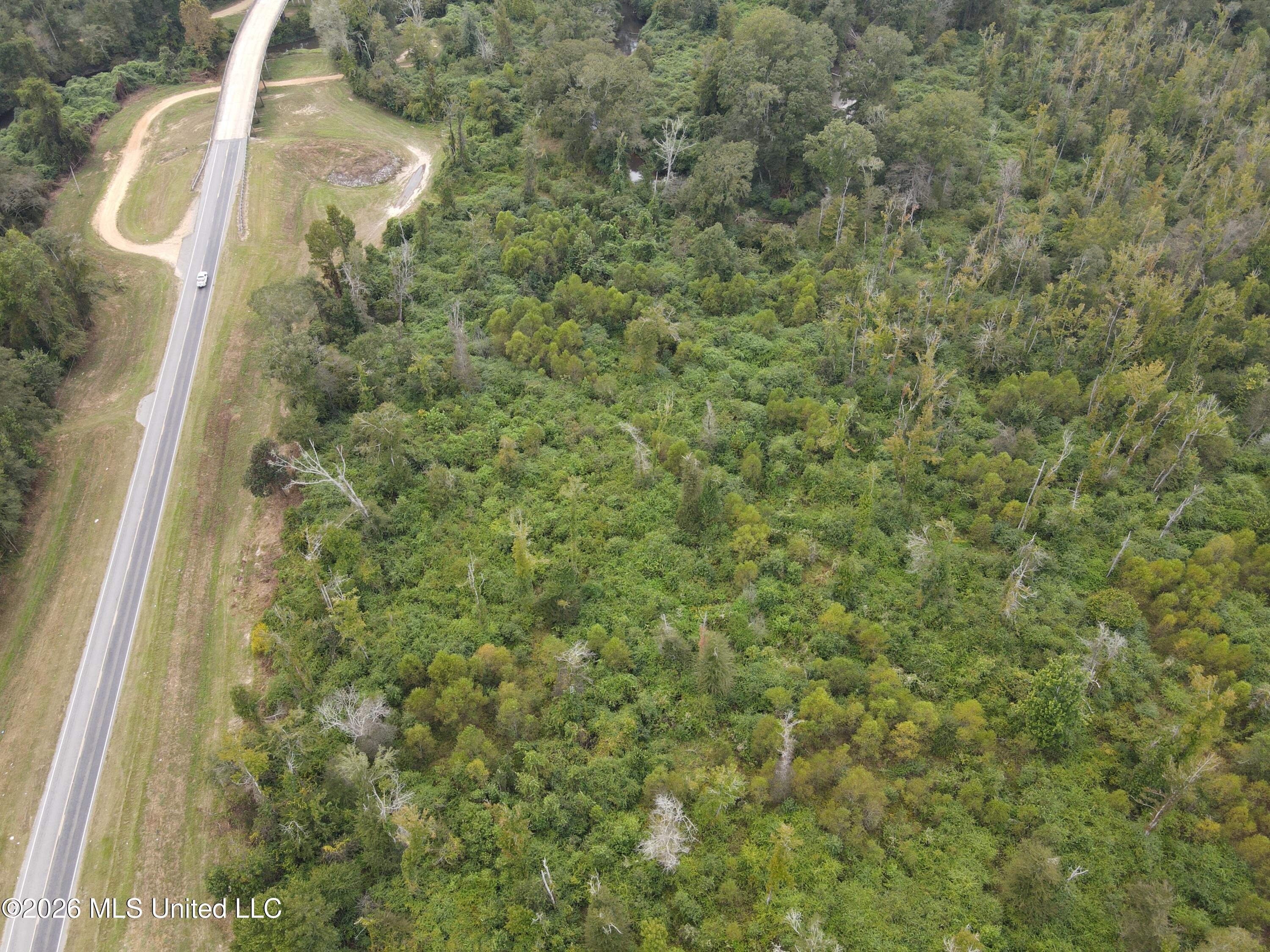 Bogue Chitto Road Property Photo 11