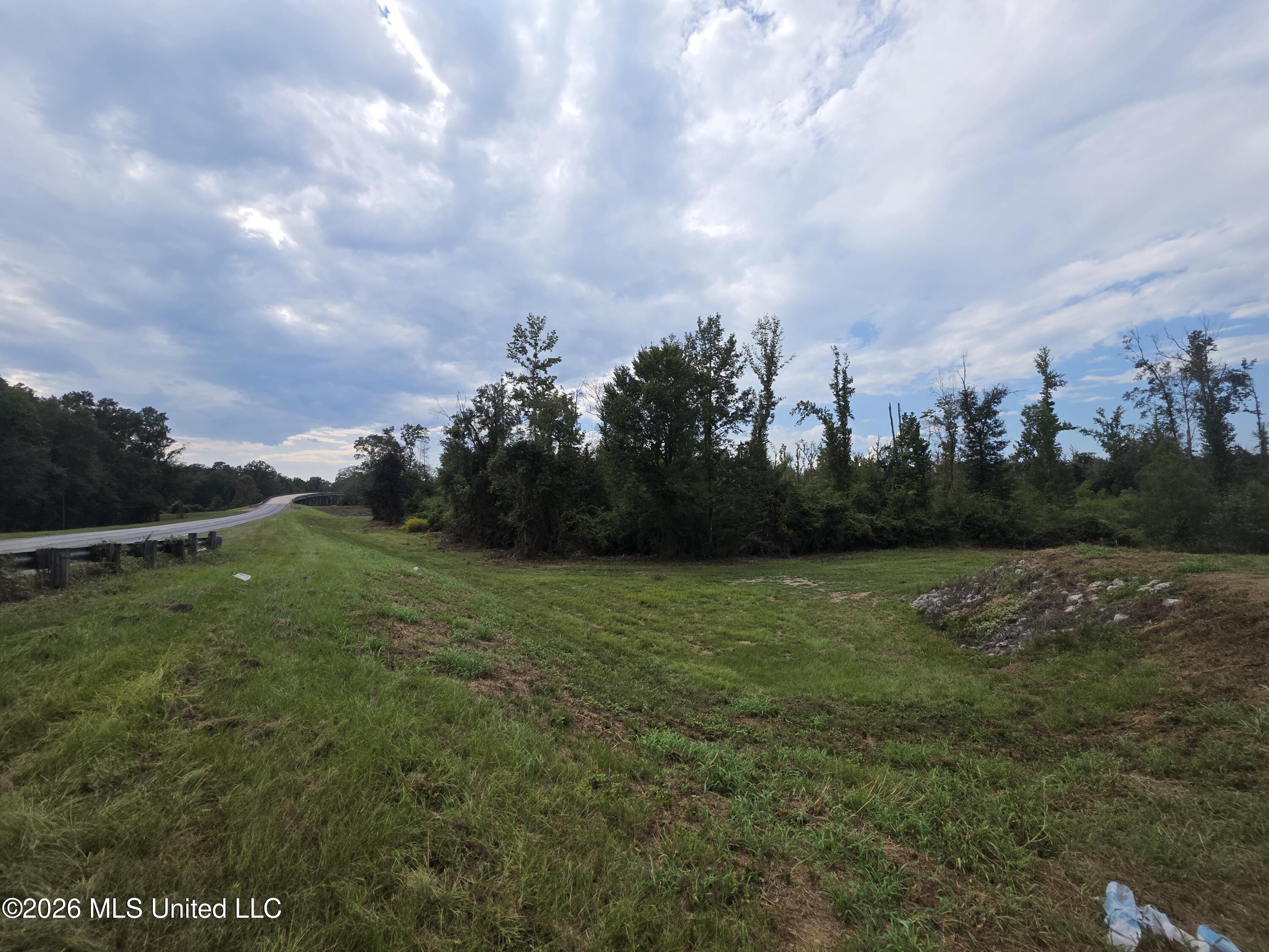 Bogue Chitto Road Property Photo 15